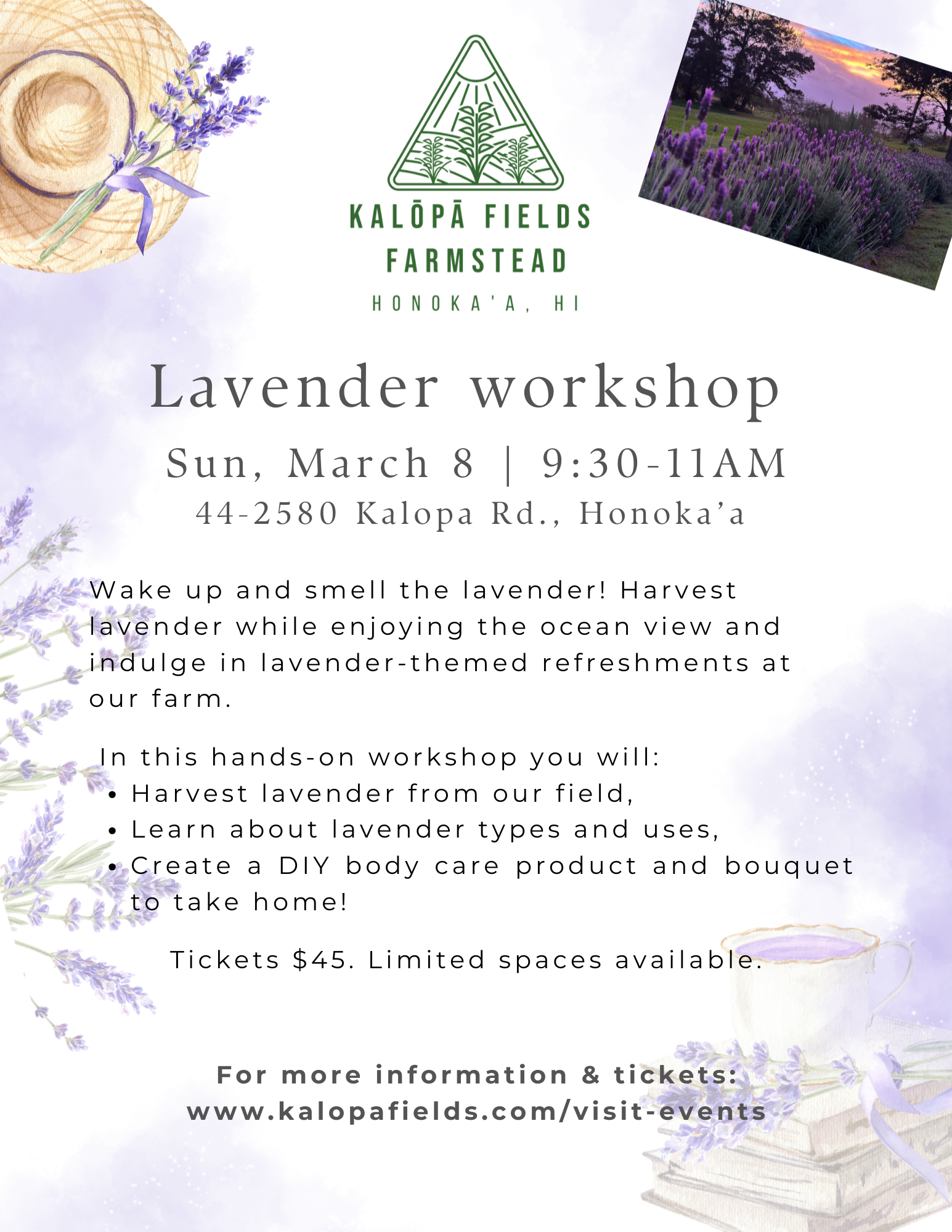 Lavender Workshop