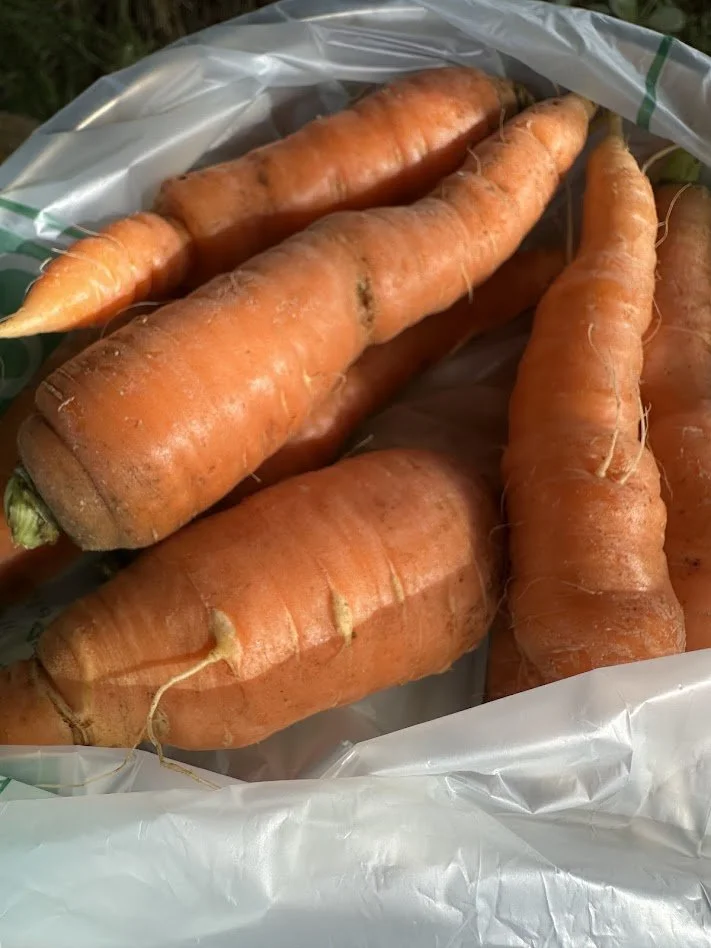 Vegetables- Carrots 1 lb