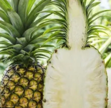 whitepineapple.png
