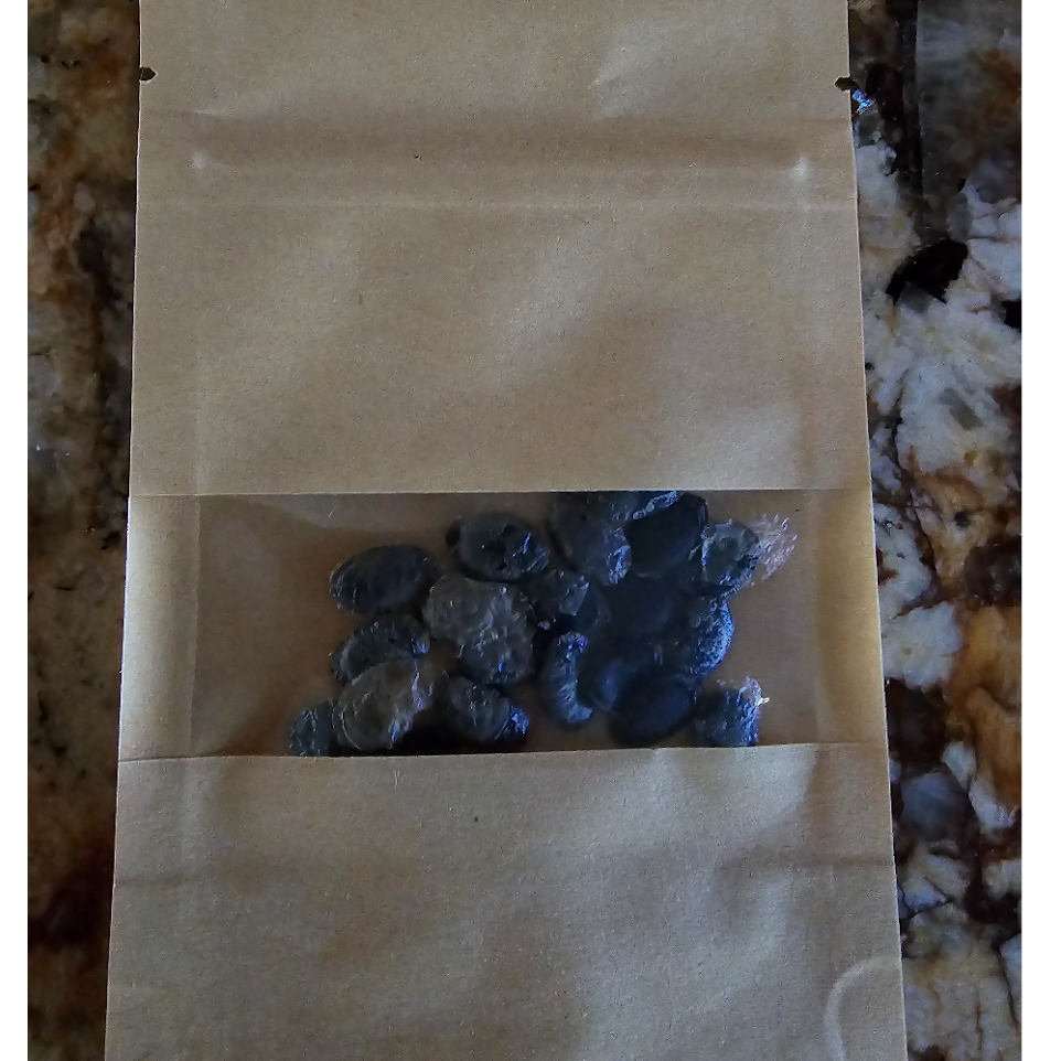 Luffa/Loofah Gourd Seeds (grow your own sponges!)