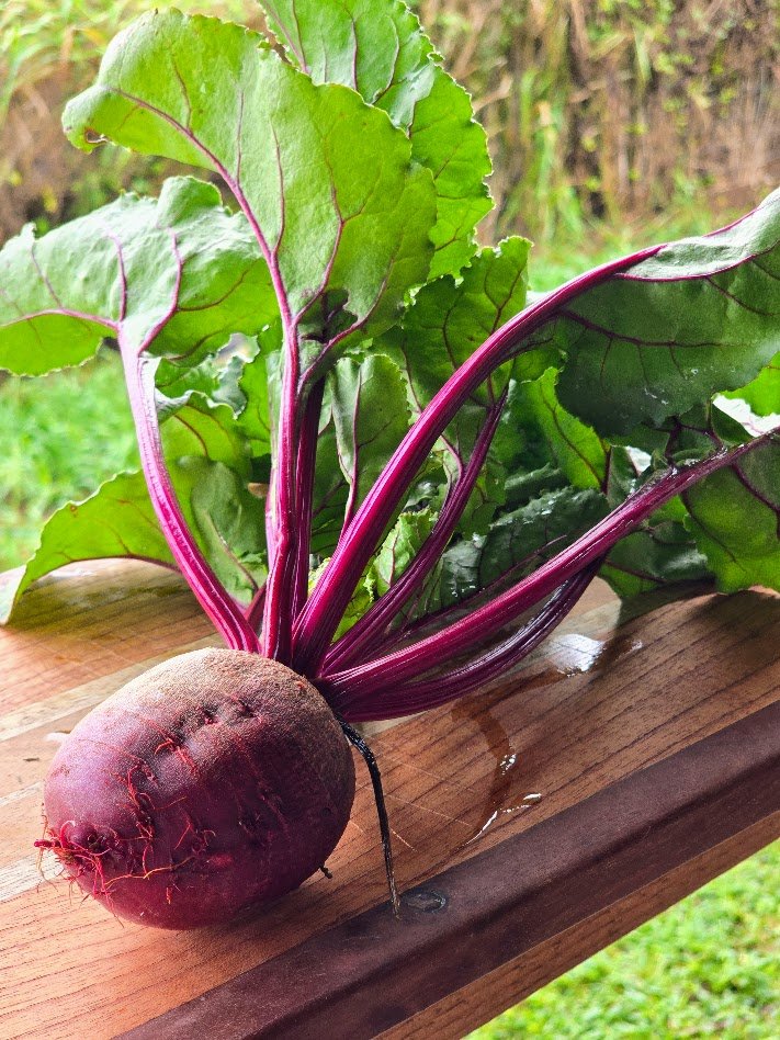 Beets (per pound) (NO TOPS this week!)