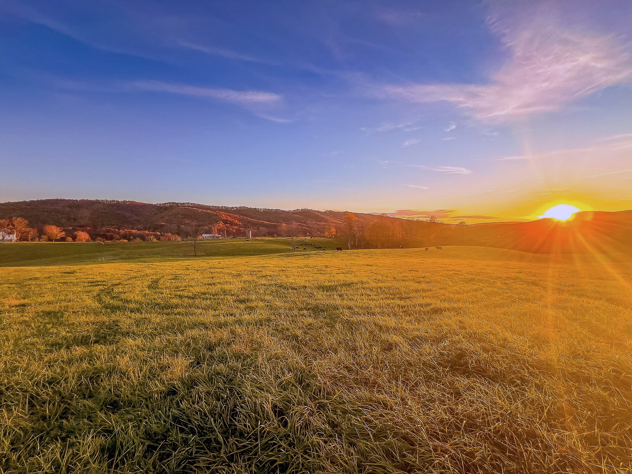 A landscape view of a grassy field with hills and trees in the background at sunset, blue sky with wispy clouds.