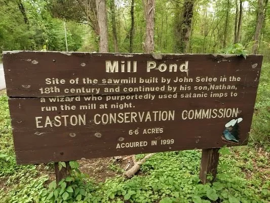 The Millpond Wizard of Easton