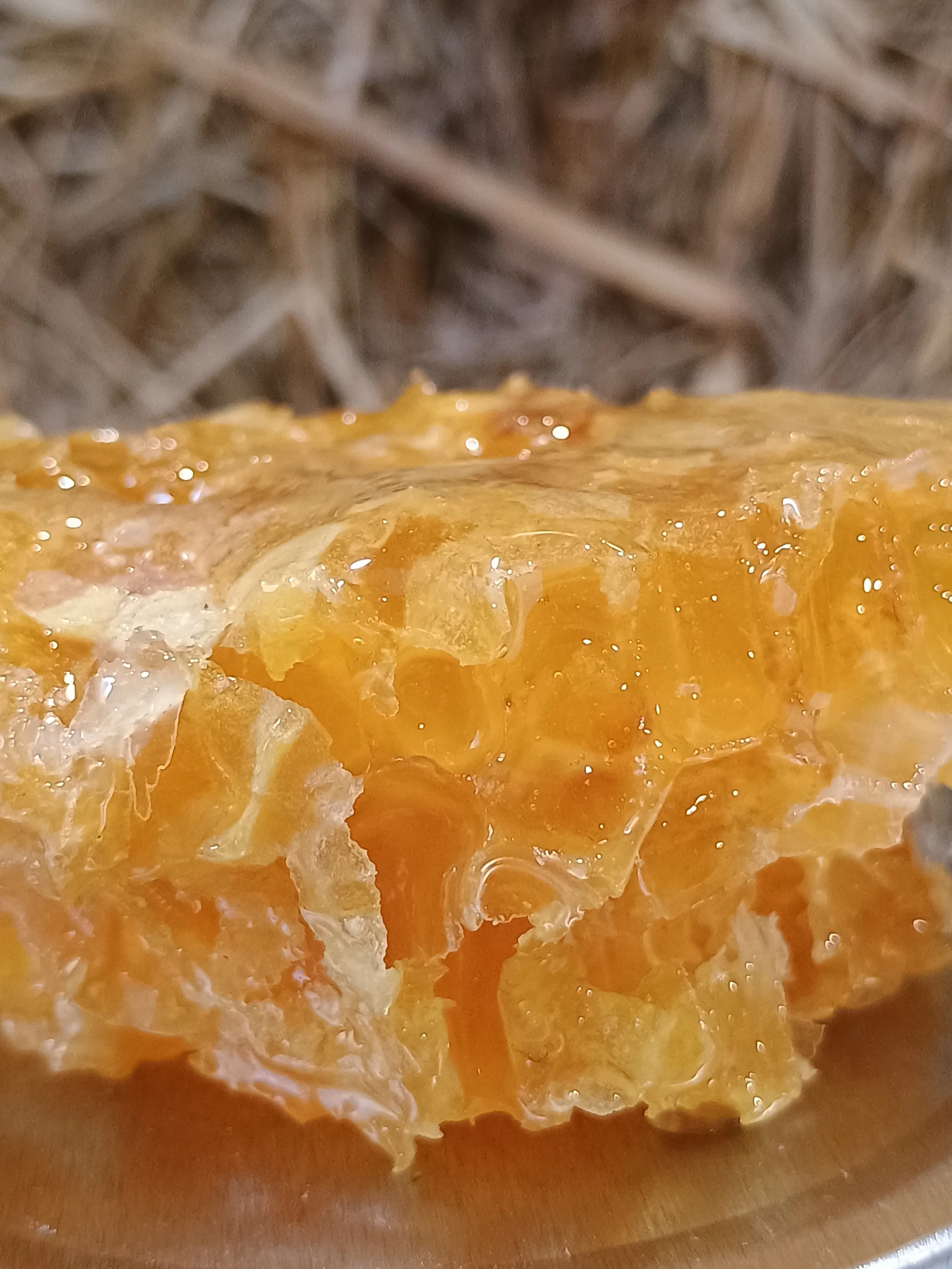Close-up of a honeycomb with honey dripping.