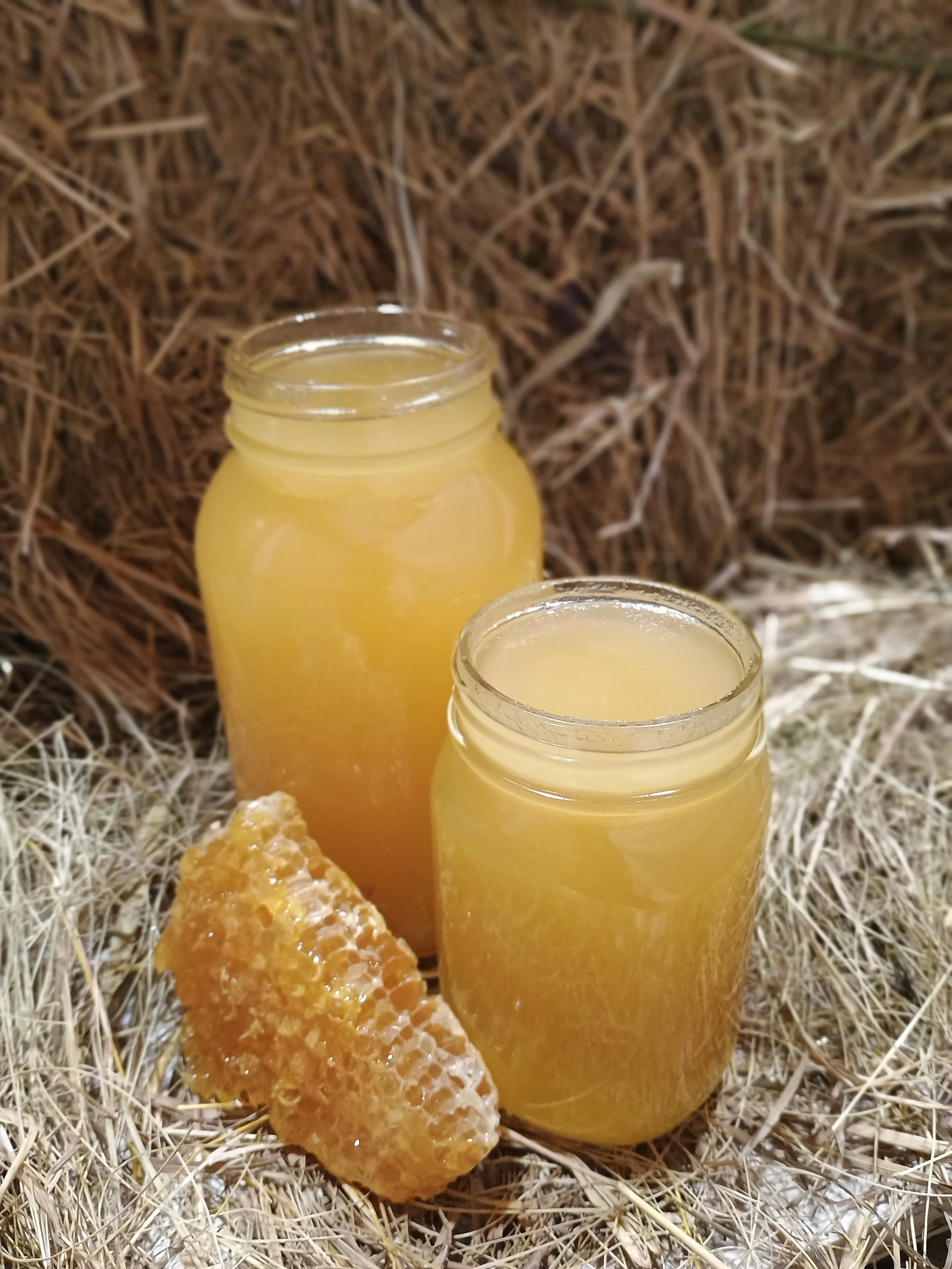 Meadow's edge, Batch #3