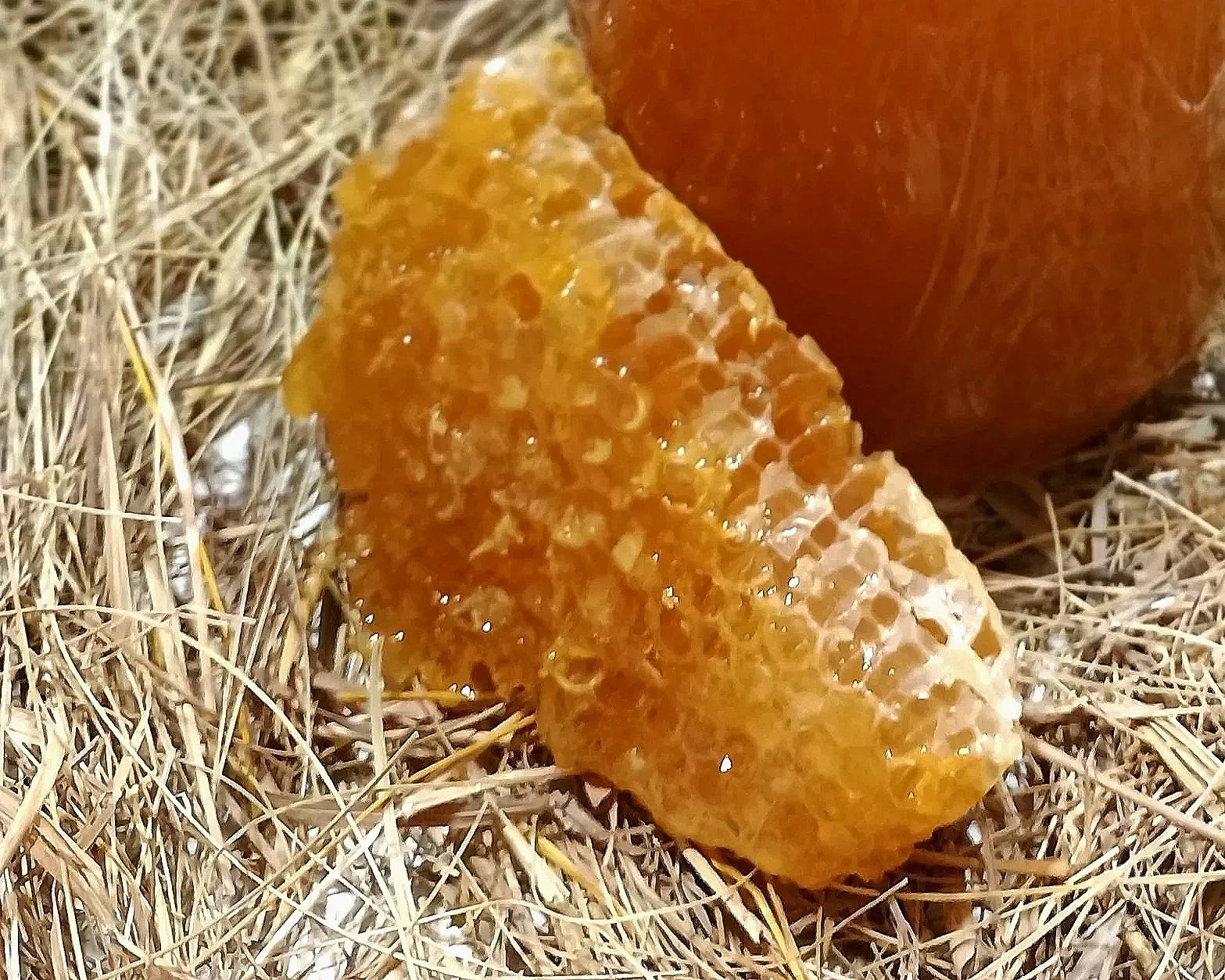 Close-up of honeycomb and honey jar on hay or grass