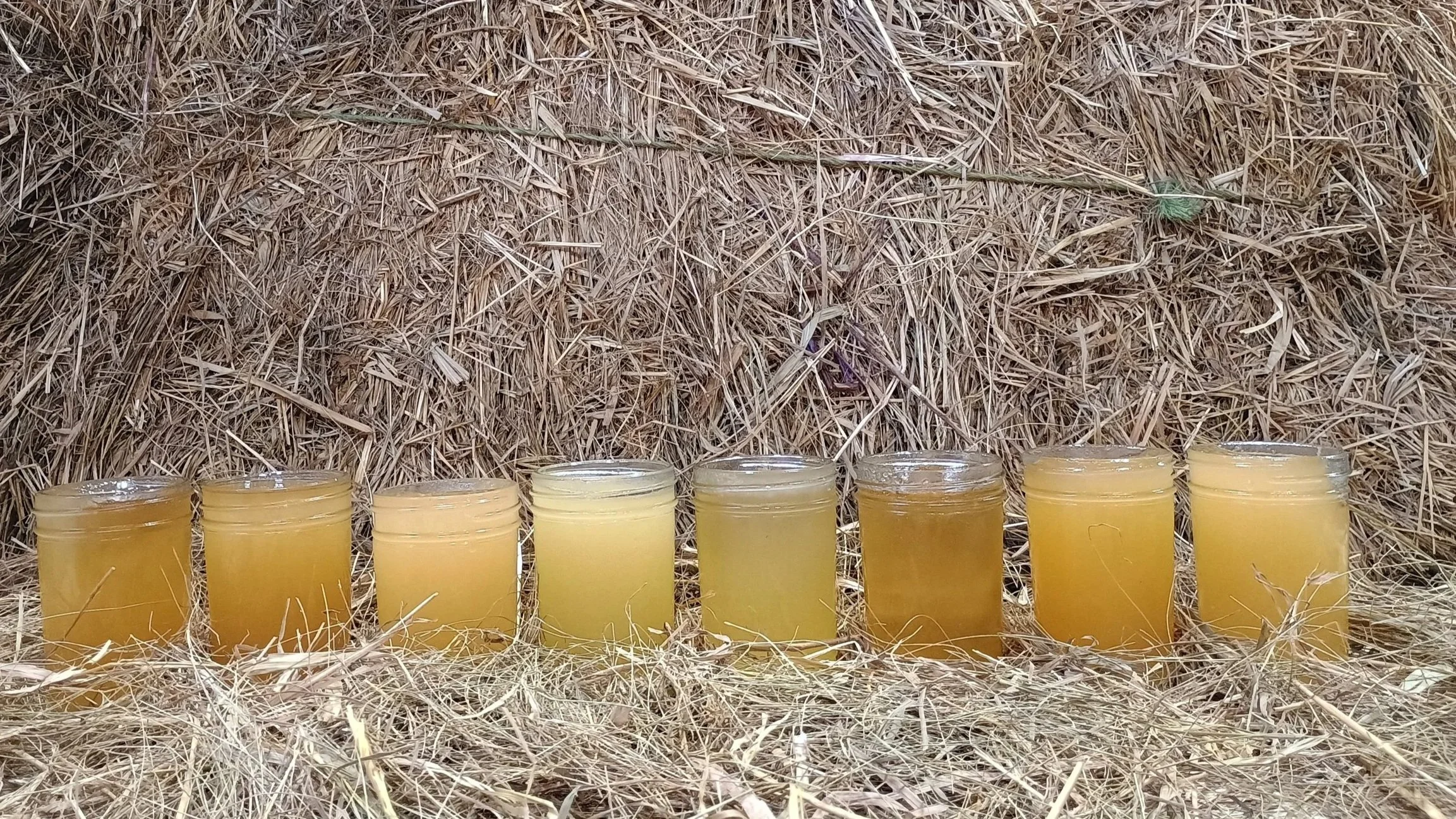 Multiple jars of honey placed on dried grass in front of a haystack.