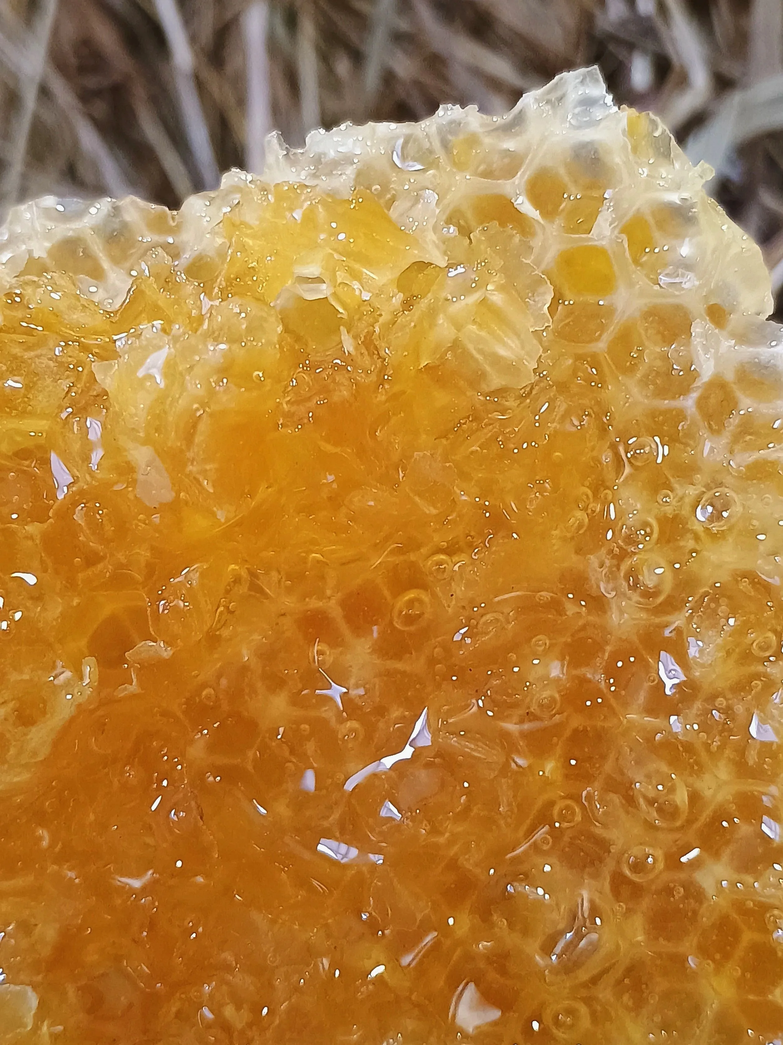 Close-up of a honeycomb with honey.