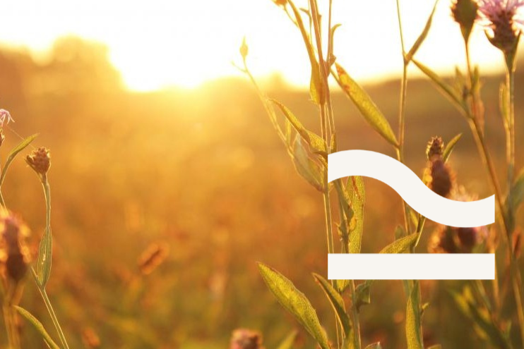 MIND-boost your energy &amp; strength by slowing down