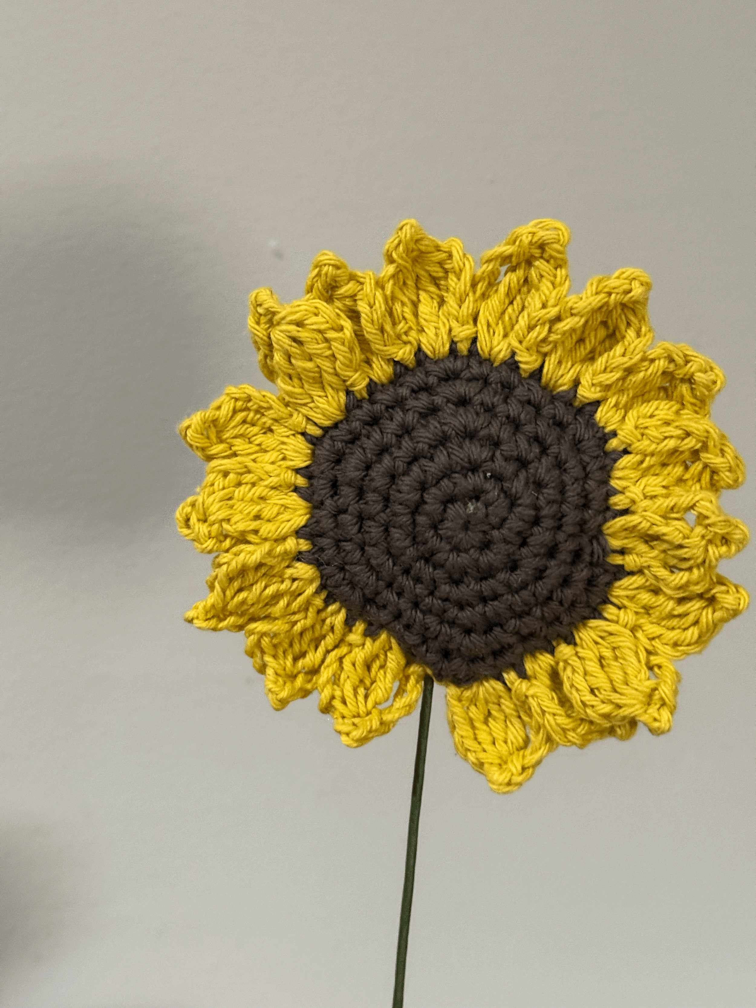 SUNFLOWERS (SINGLE STEM OF ONE)