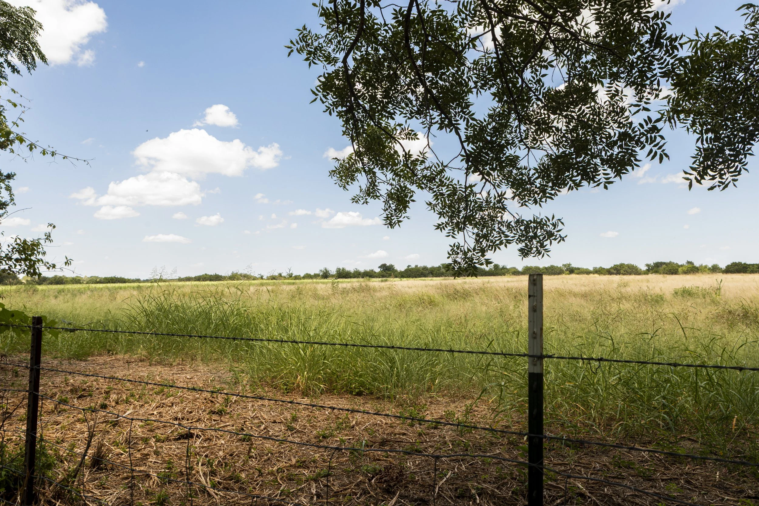 The field behind the Logan’s property is where the potential 765 KV transmission lines could be built, approximately 200 feet from the center of the transmission line to their property line.