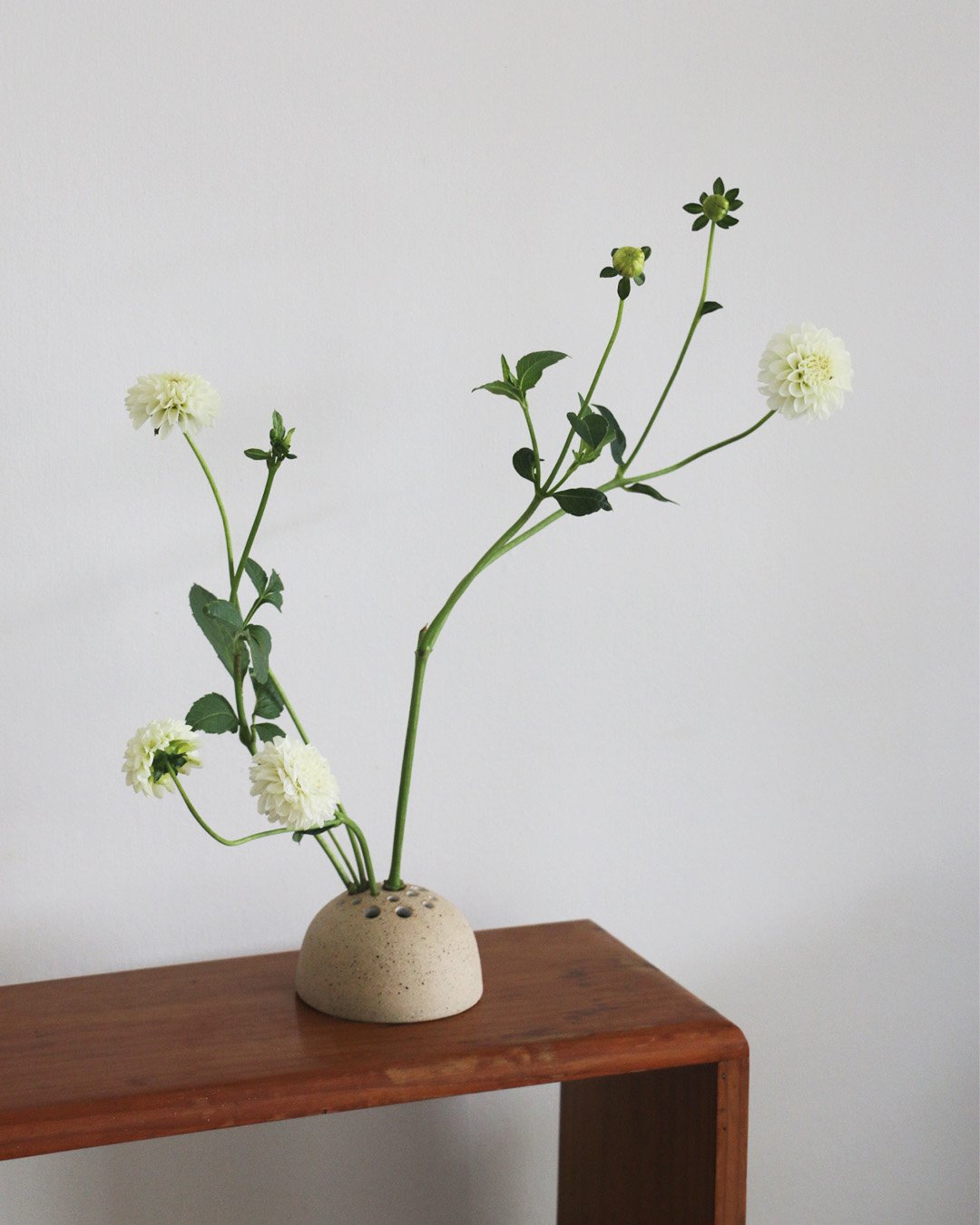 Flower_Frog_001.jpg