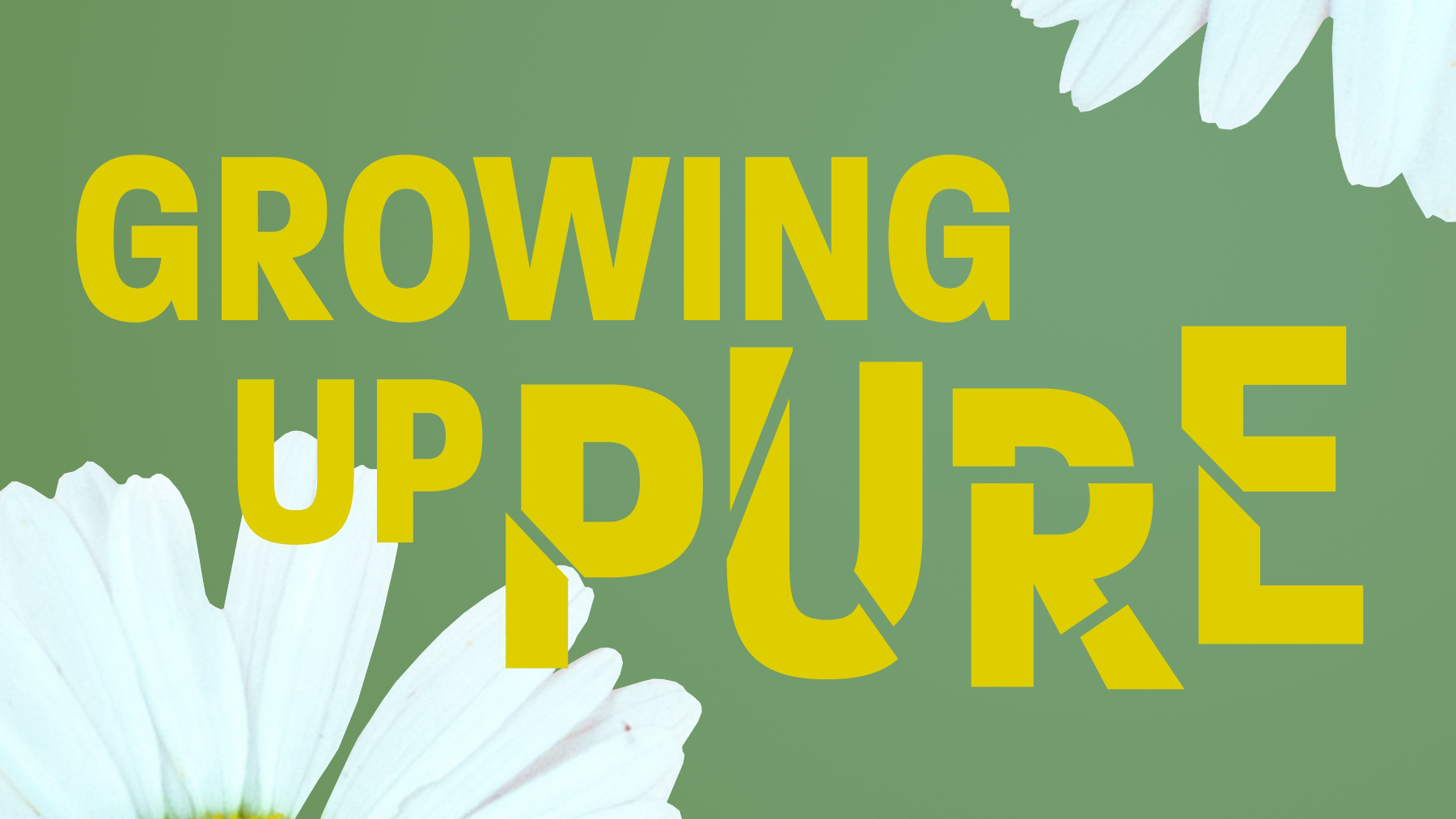 Growing Up Pure: White Girls, Queer Teens, and the Racial Foundations of Purity Culture by Lauren D. Sawyer (Cover, 2025)