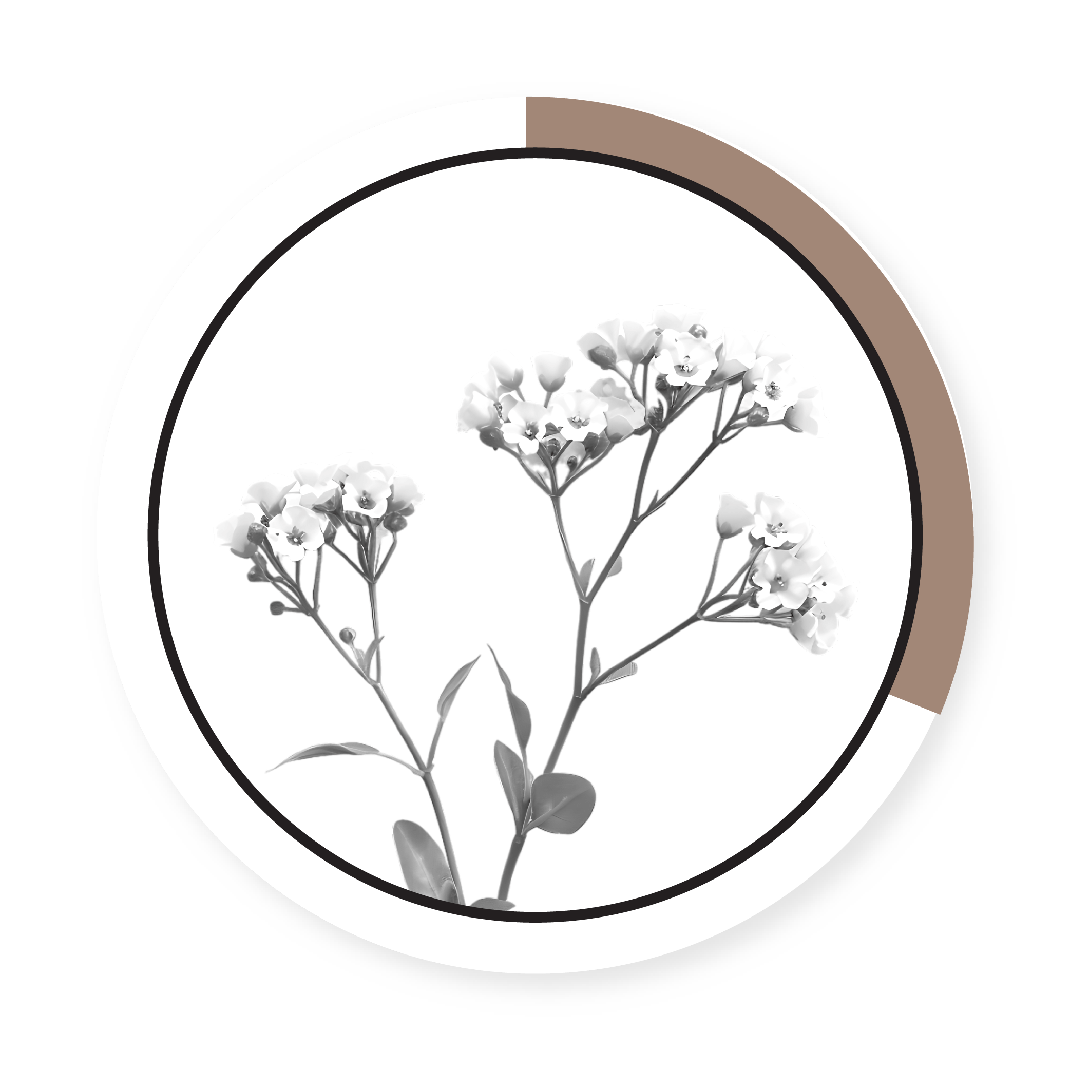 BUCKWHEAT