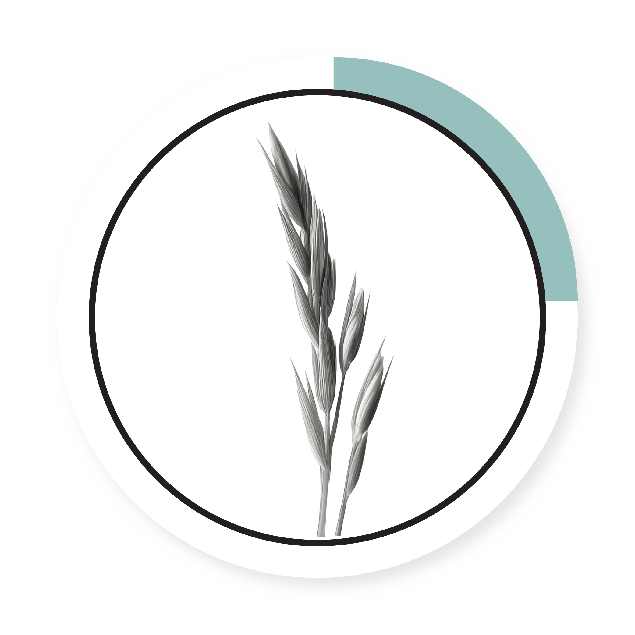 SPRING OATS