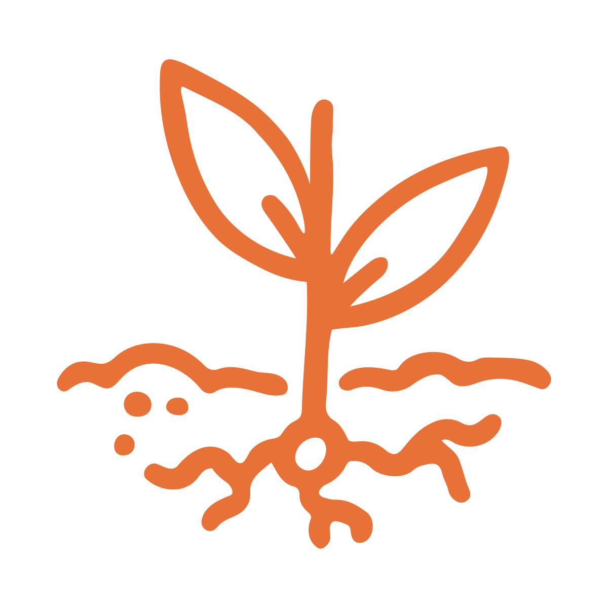 Outline drawing of a young plant with two leaves and roots below the soil line, depicted in orange.