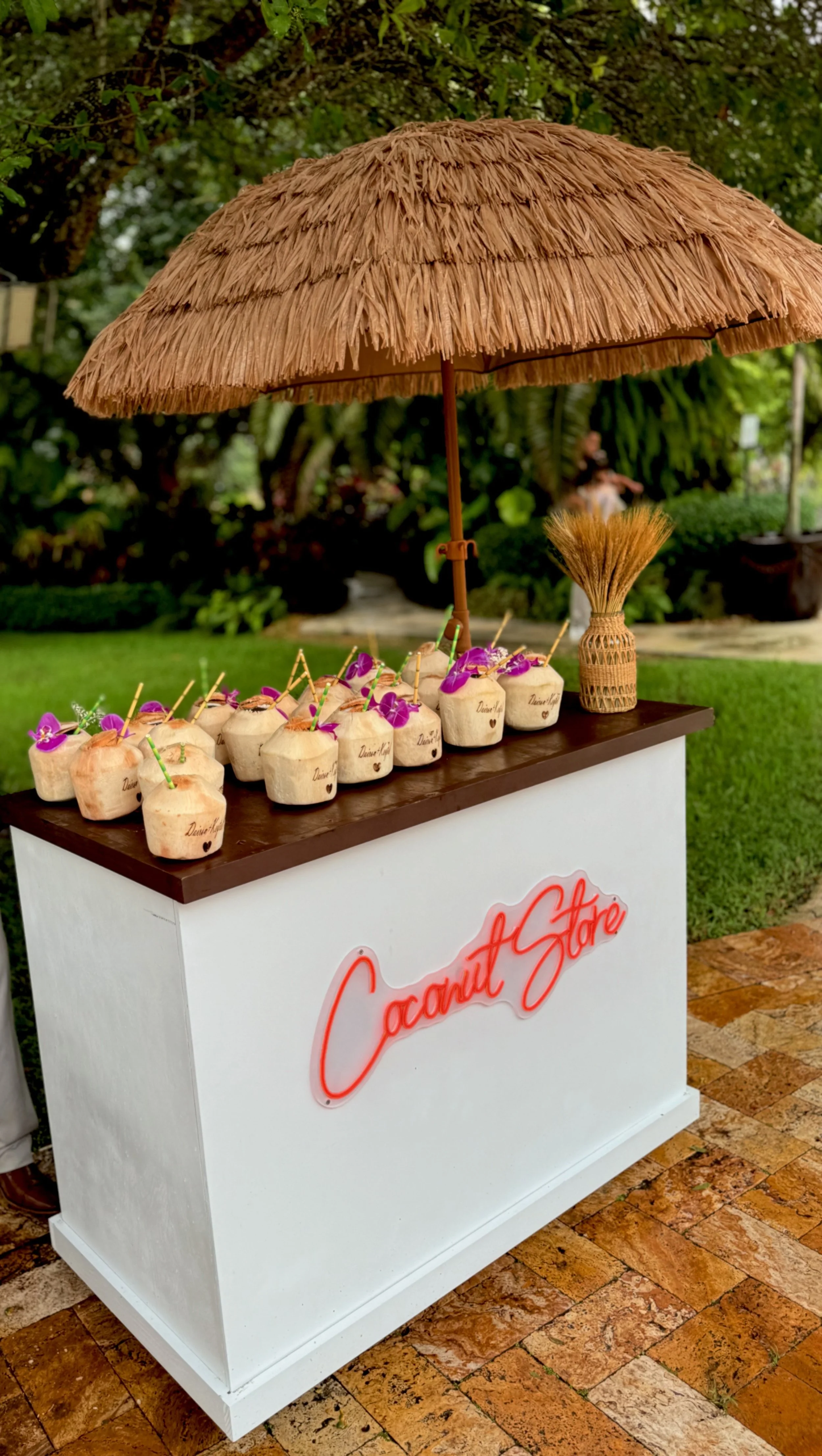 A coconut stand with a thatched umbrella, serving coconut drinks garnished with flowers, outdoors on a brick path with greenery in the background, and a neon sign reading 'Coconut Store'.
