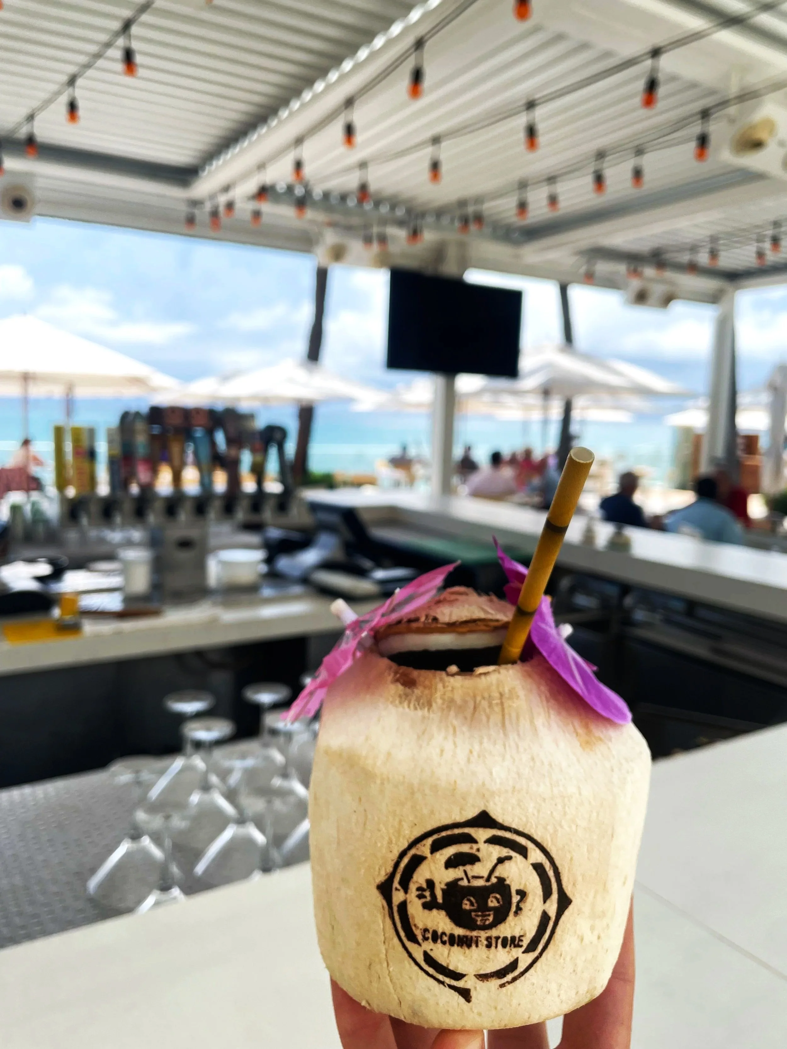 An eco-friendly coconut drink with a straw and purple umbrella held at a beachside bar with umbrellas and ocean in the background.