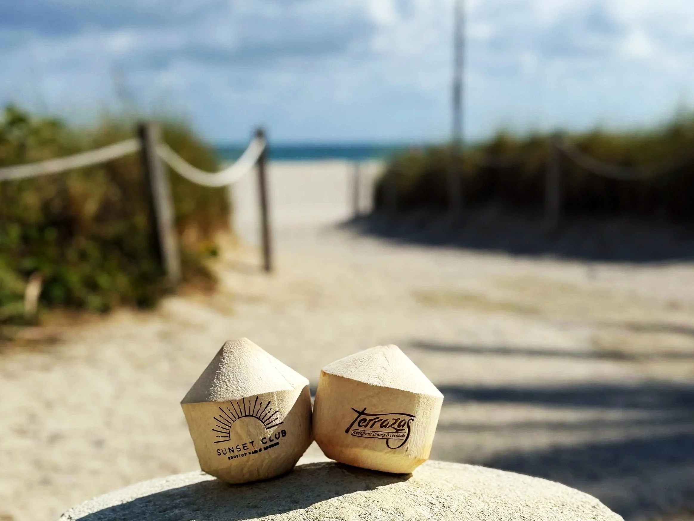 Two custom branding coconuts with logos resting on a stone surface at the beach, with sand dunes, a pathway with ropes, and the ocean in the background.