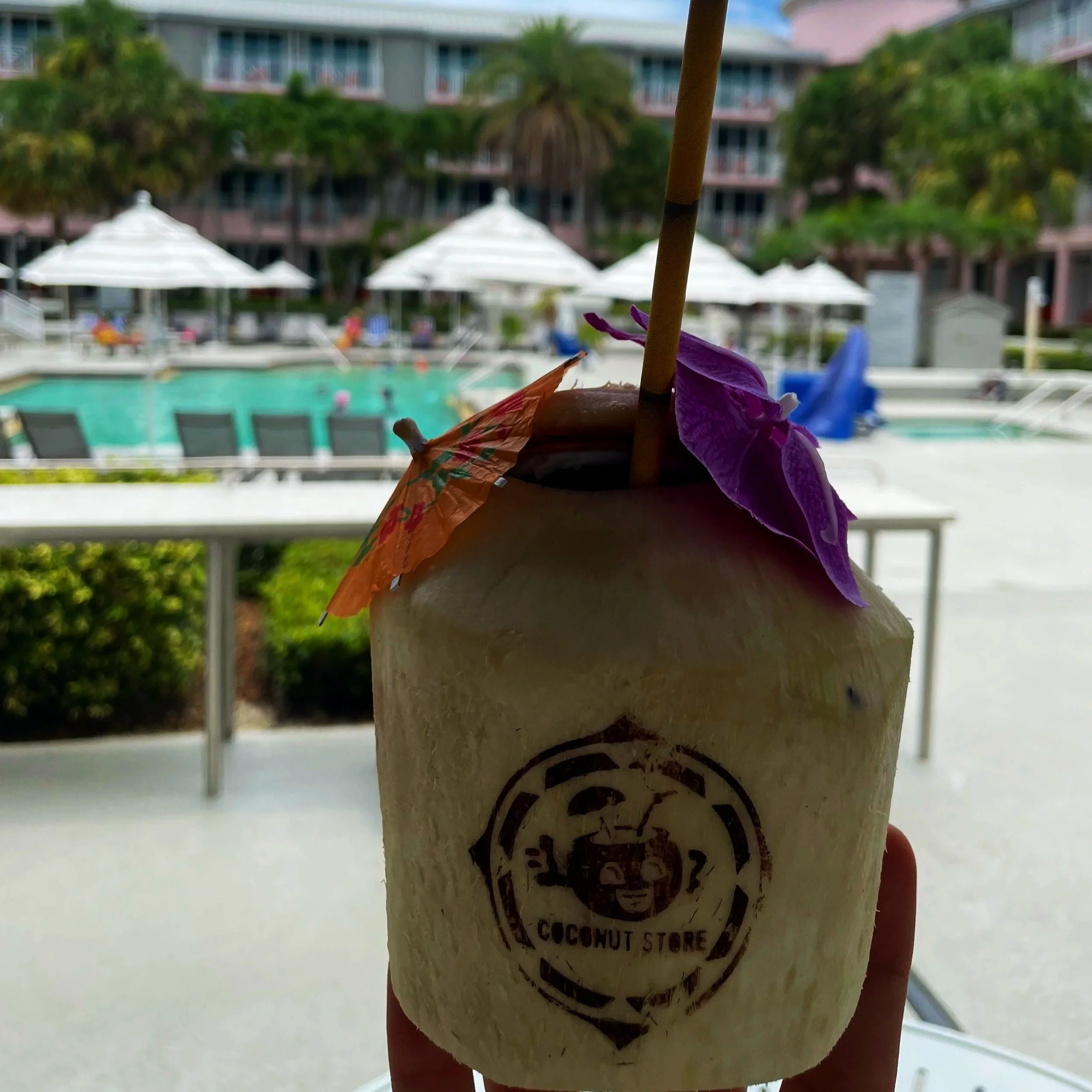 A fresh custom branded coconut drink with a straw, decorated with colorful paper umbrellas, held up in front of a swimming pool and hotel balconies.
