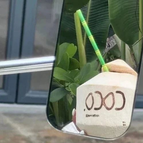Reflection in a mirror showing a coconut-shaped drink with a green straw and tropical plants in the background.