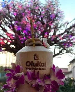 WhatsApp Image 2025-11-26 at 13.30.56_ee919e60.jpg