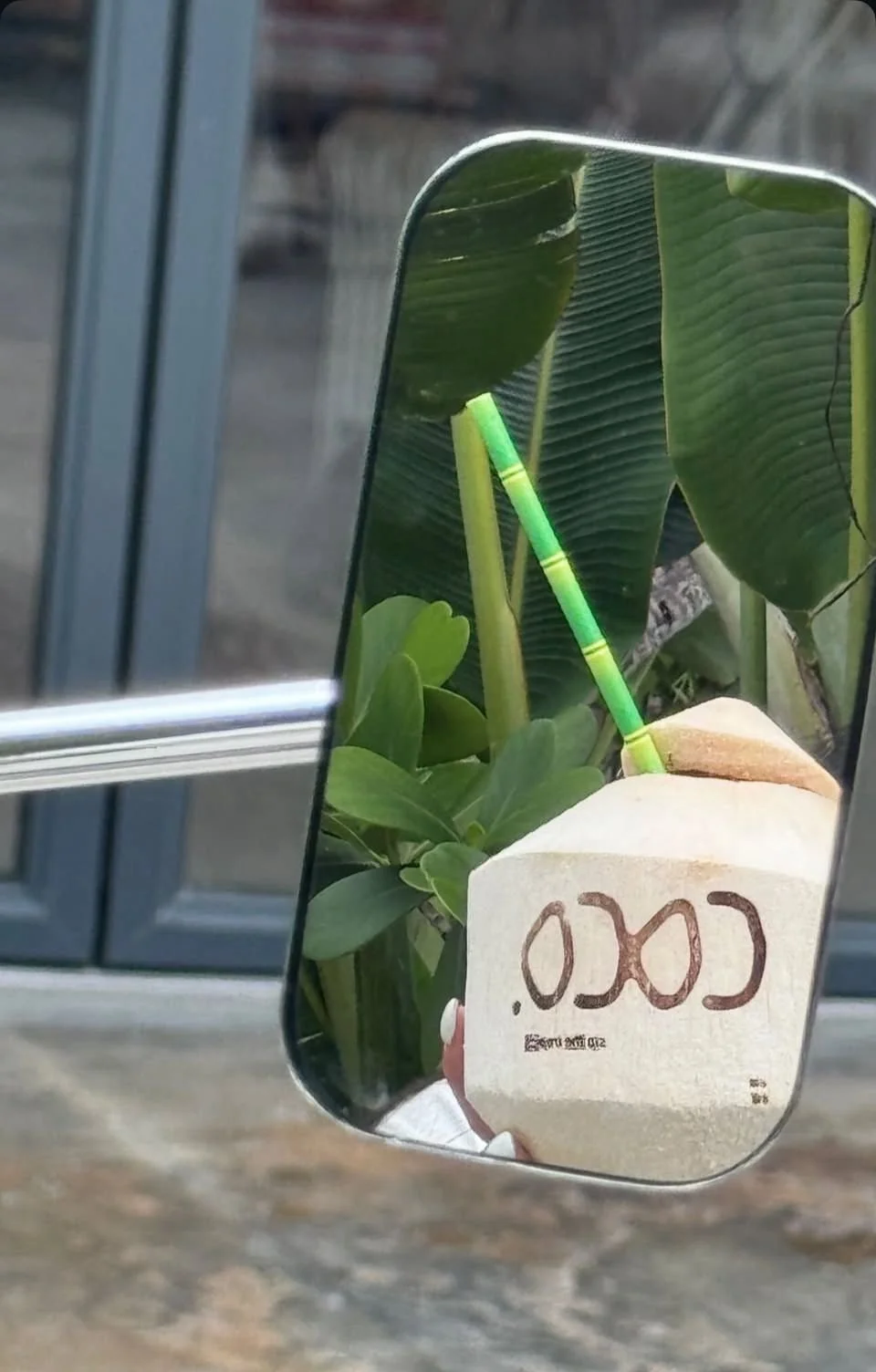 A mirror reflects green plants, a rock with the word 'Coco' written on it, and a person holding the phone taking the photo.