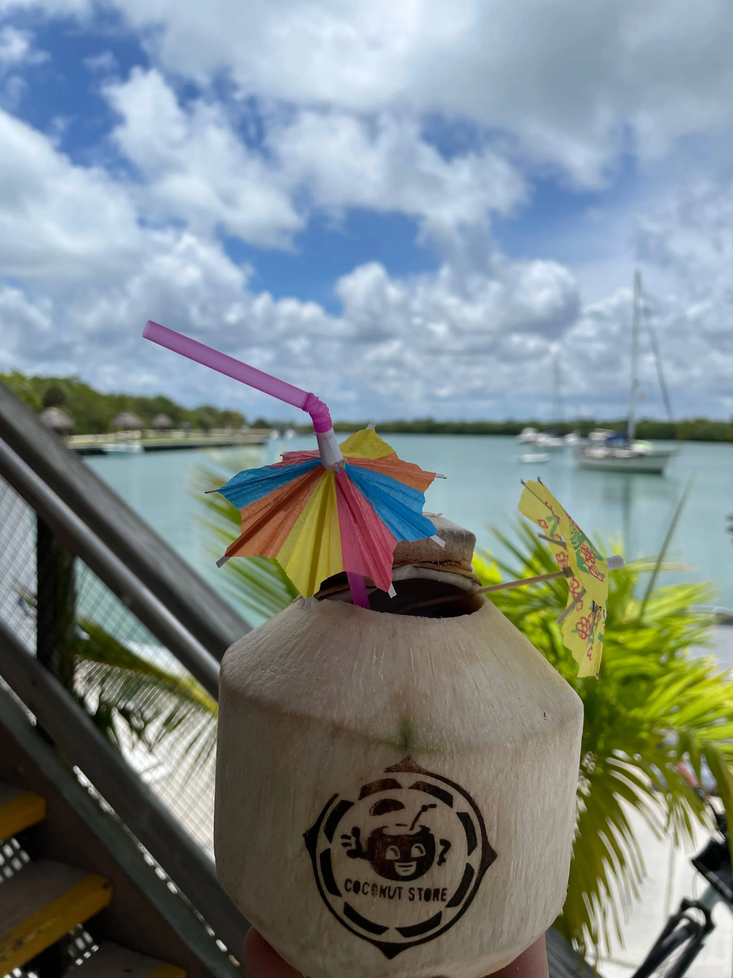 custom-coconuts-miami.jpg