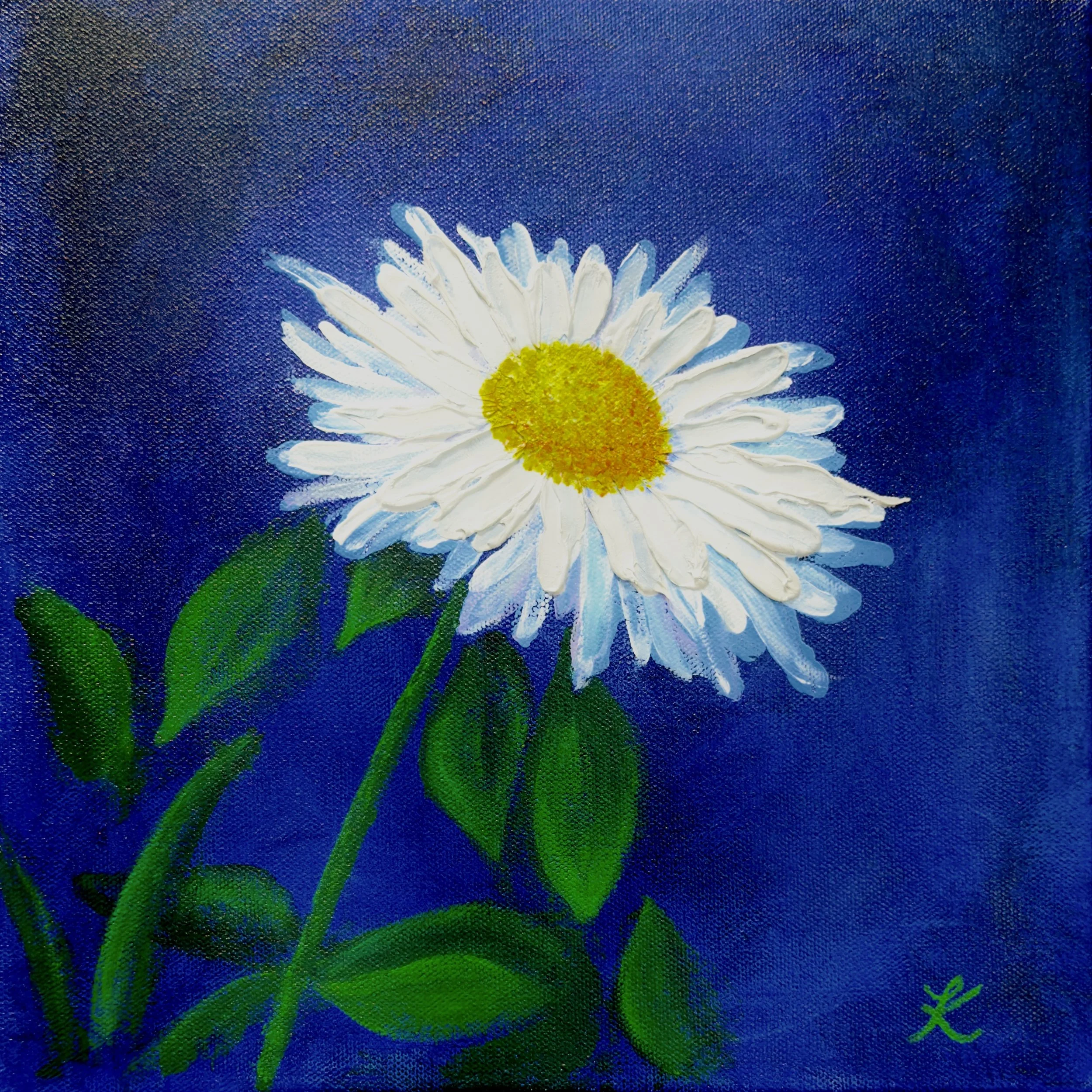 Acrylic painting of single daisy on cobalt blue background