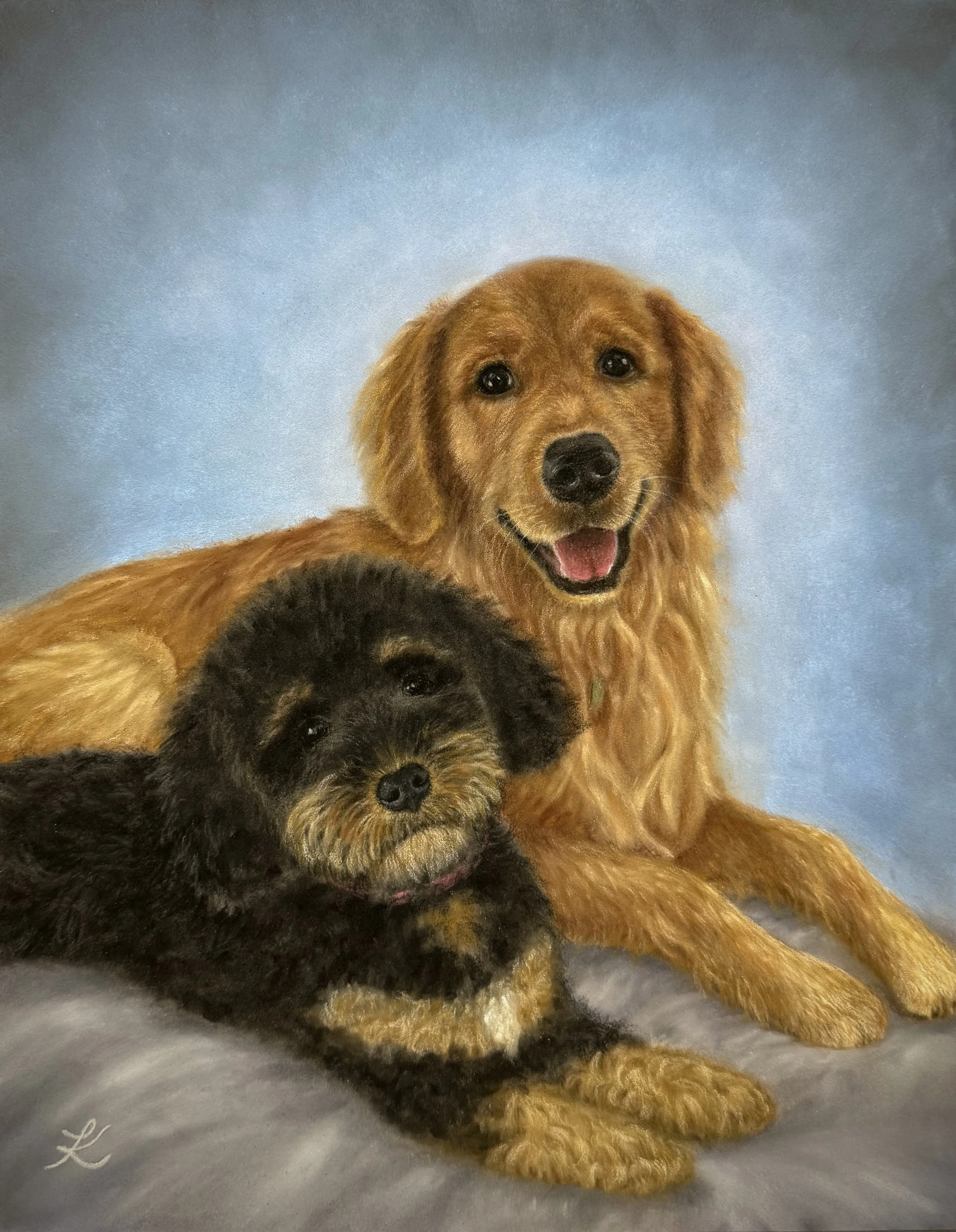 Soft pastel portrait of black and tan Goldendoodle and golden retriever