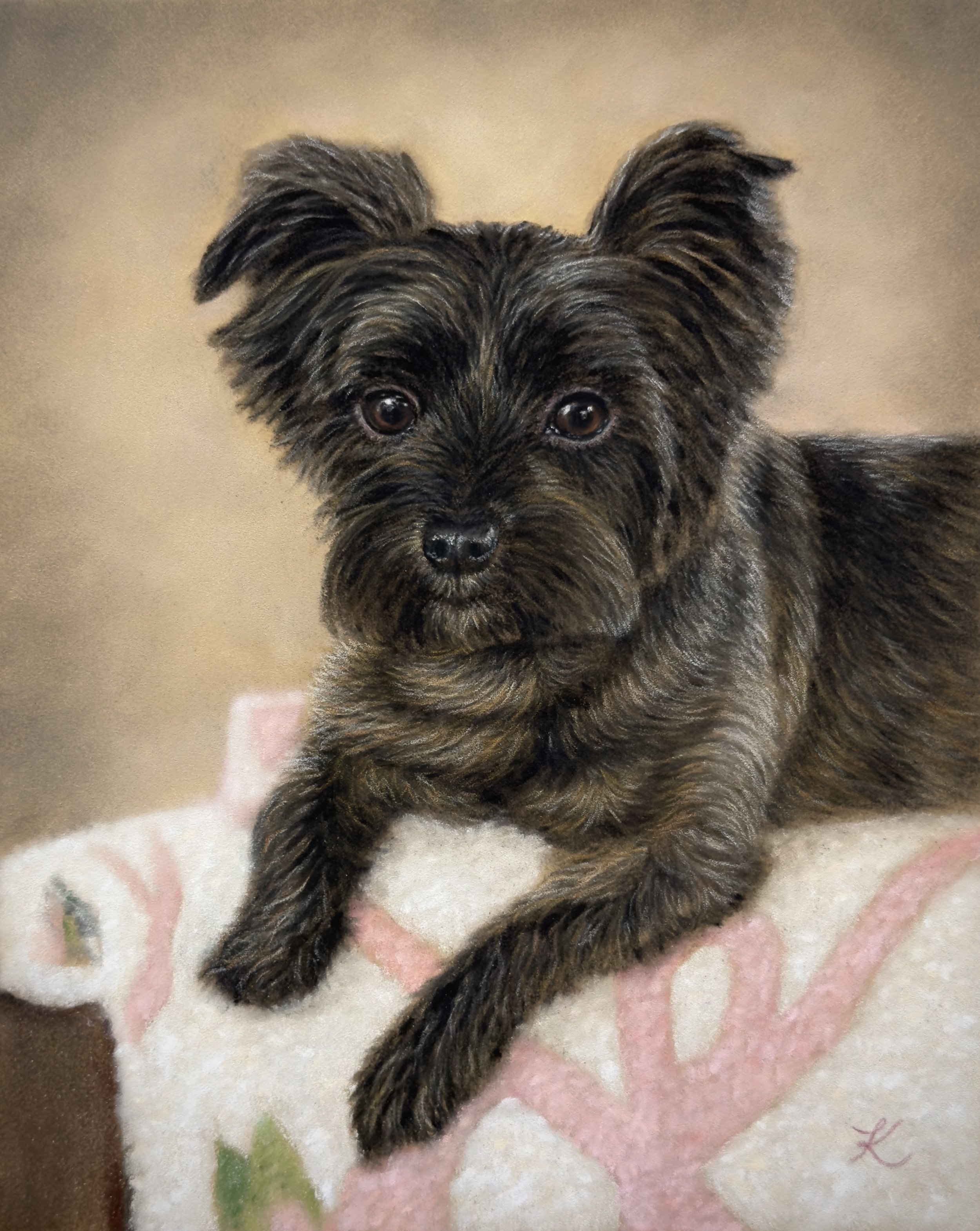 Soft pastel portrait of black and tan Yorkie
