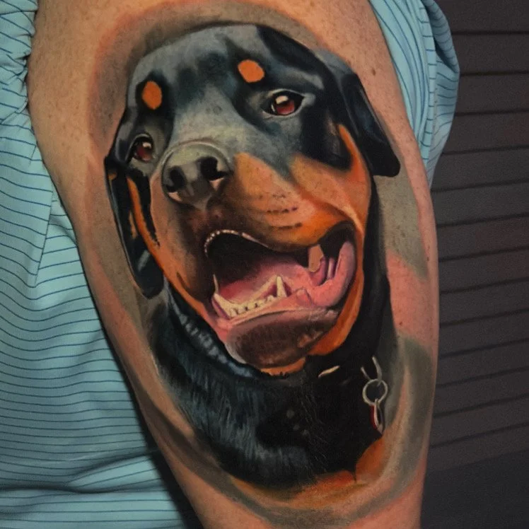 Rottweiler Pet Portrait Bryn Beer  river market tattoo company 