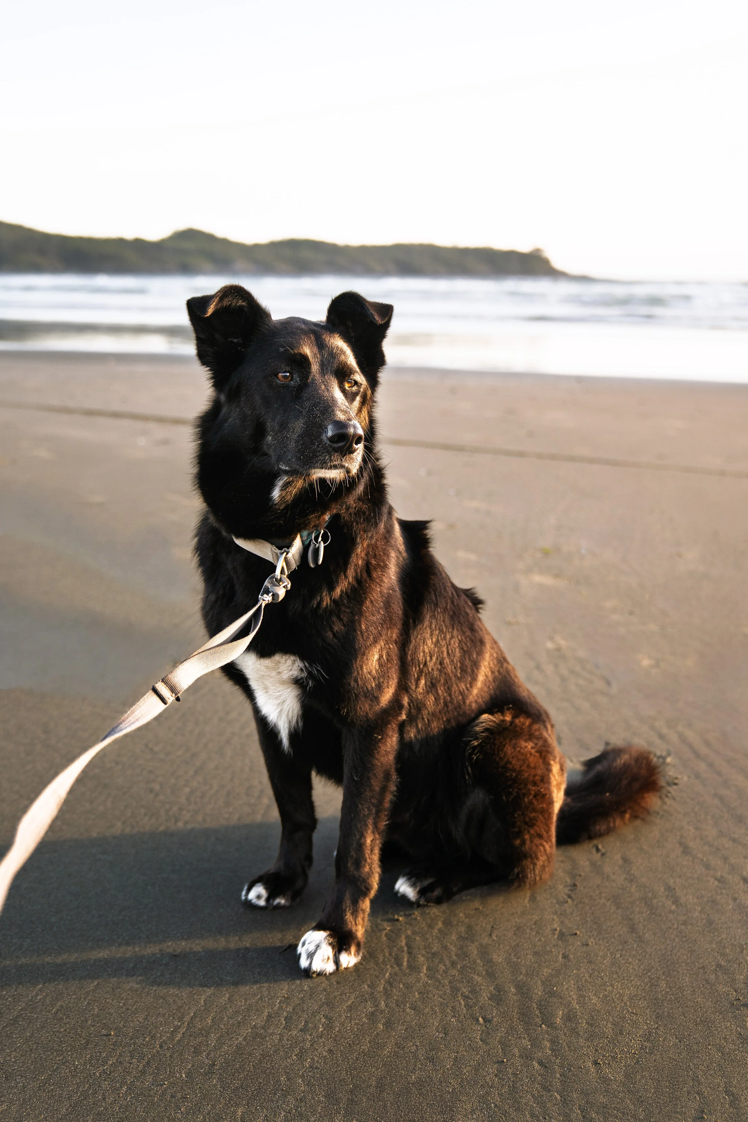 bodie beach-01338.jpg