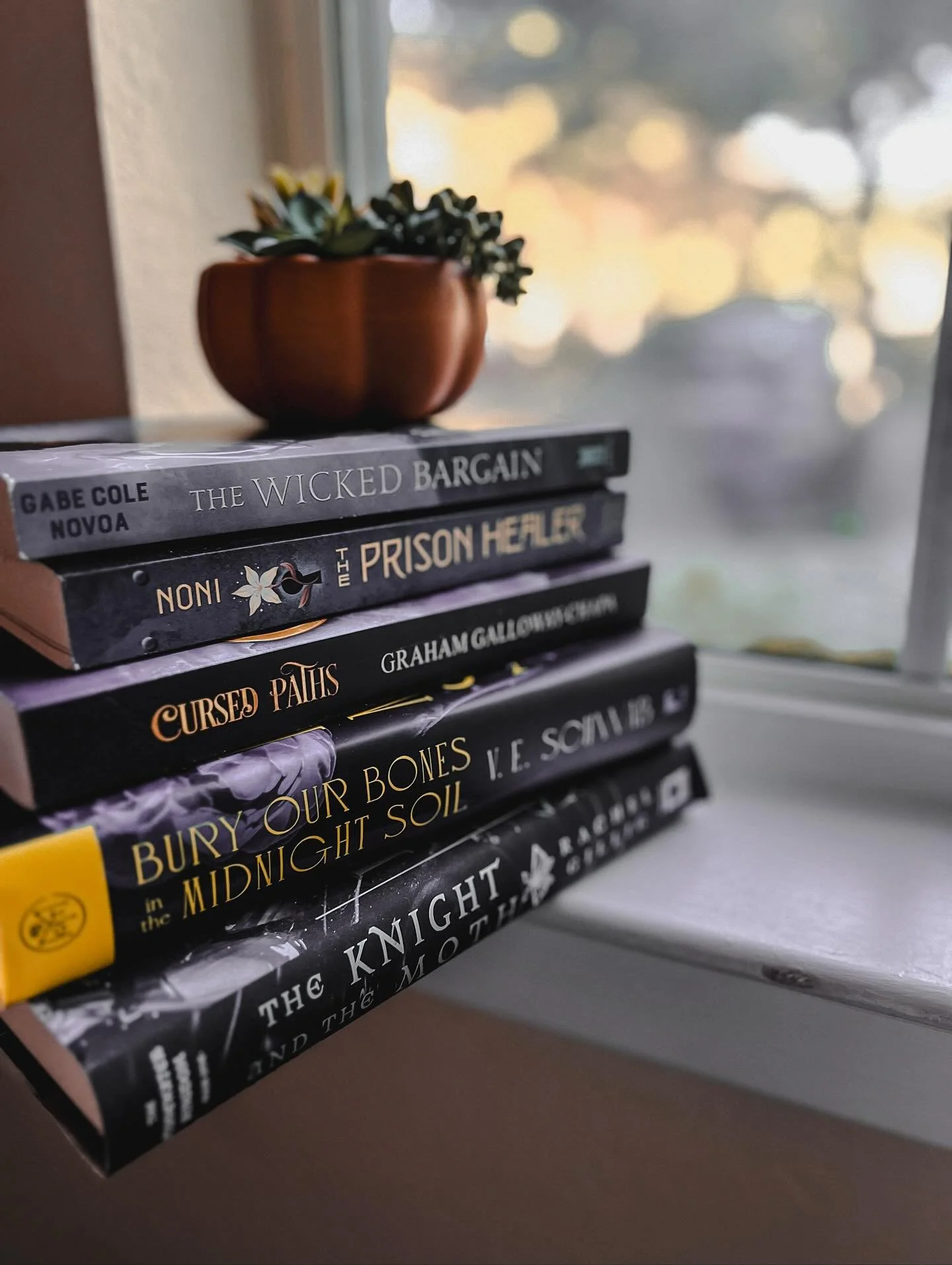 November TBR 🍁 

Now, I did not do very well sticking to my October tbr 😂 I did manage to read all the arcs I needed to but alllllll the physical books I wanted to read&hellip; nada. 

SO! This month I&rsquo;ve decided to pick only 5 physical books