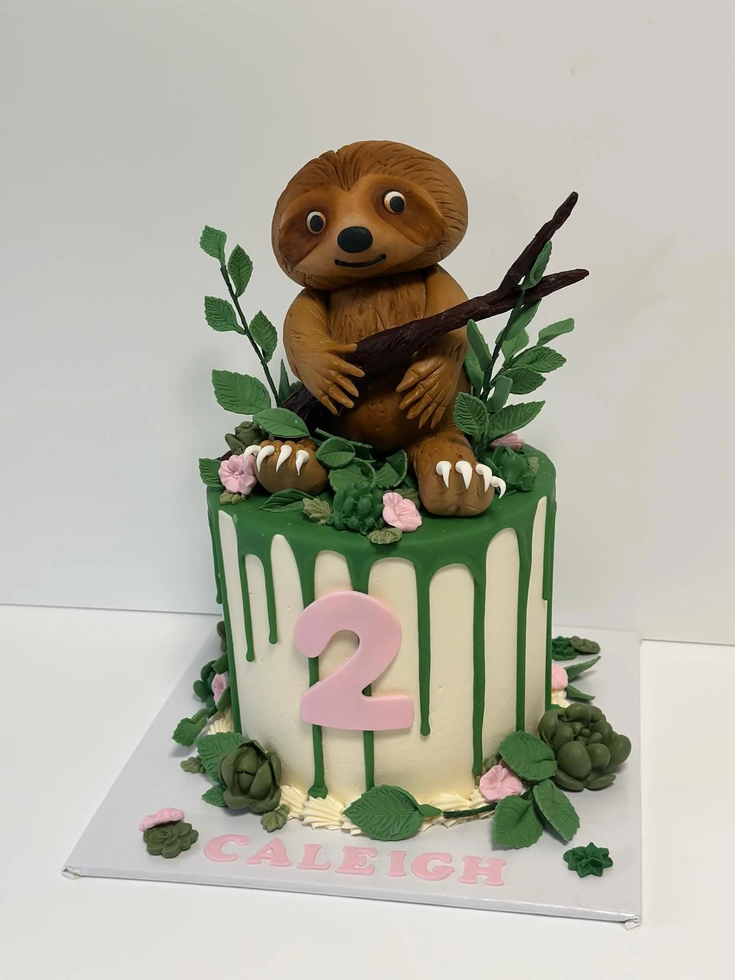 Caleigh&rsquo;s 2nd Birthday! 🦥 🌱🌿🌸

#birthdaycake #cake #customcake #louisville #kentucky