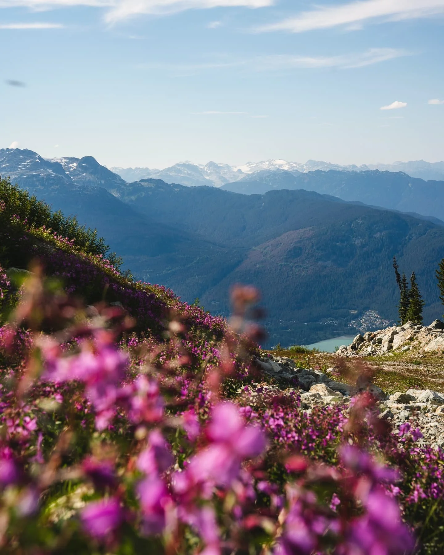 Somewhere in Whistler 🌸☀️

1. Blackcomb 
2. Brandywine Falls but ME (📸 @anttilaehde)
3.- 4.Lost Lake
5. Peak to Peak gondola
6. Alexander Falls

My writing skills have declined with the amount of sleep - been busy living. 🧚&zwj;♂️

♡

#whistler #b
