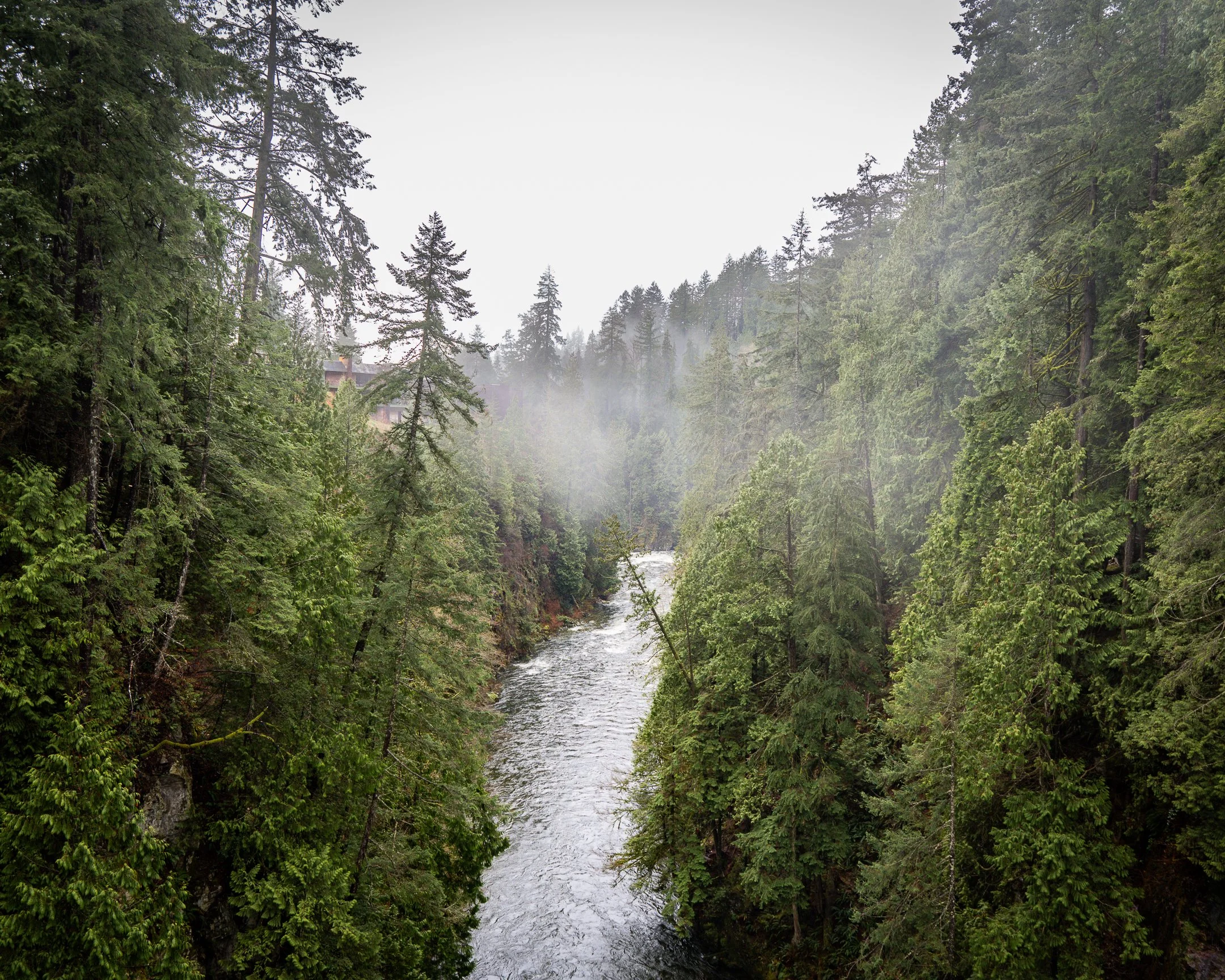 capilano-15.jpg