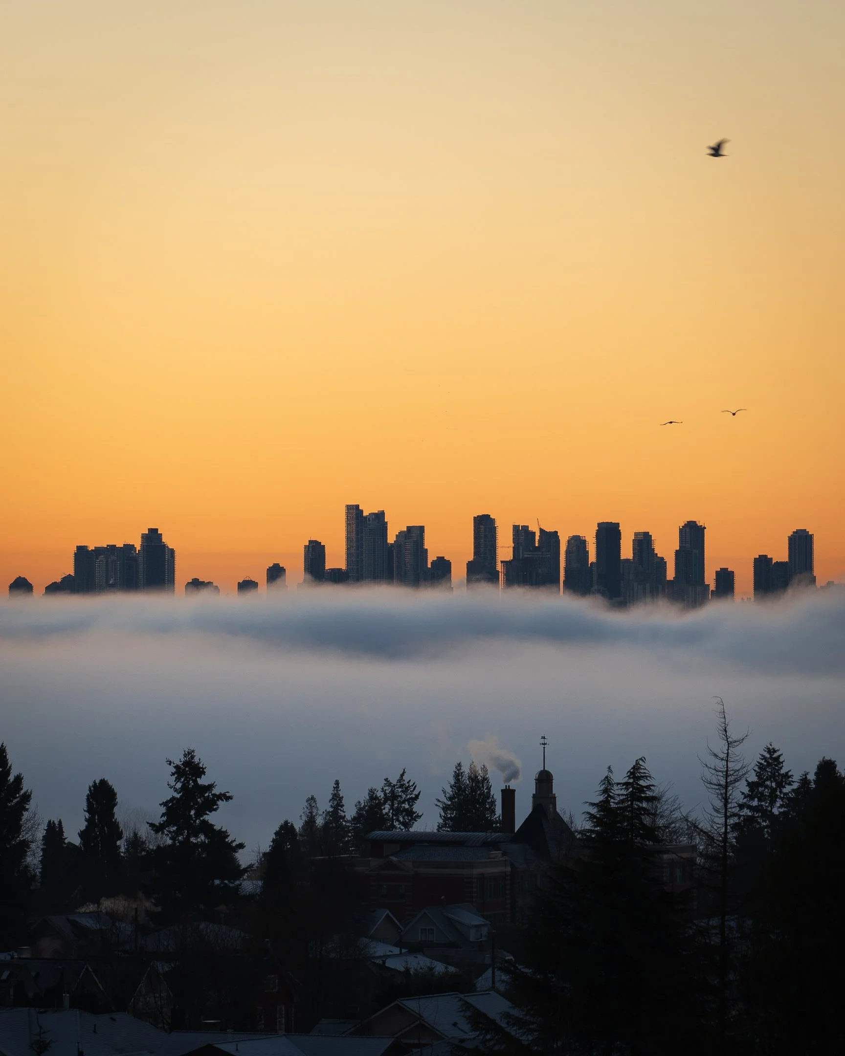 sunrise-1.jpg