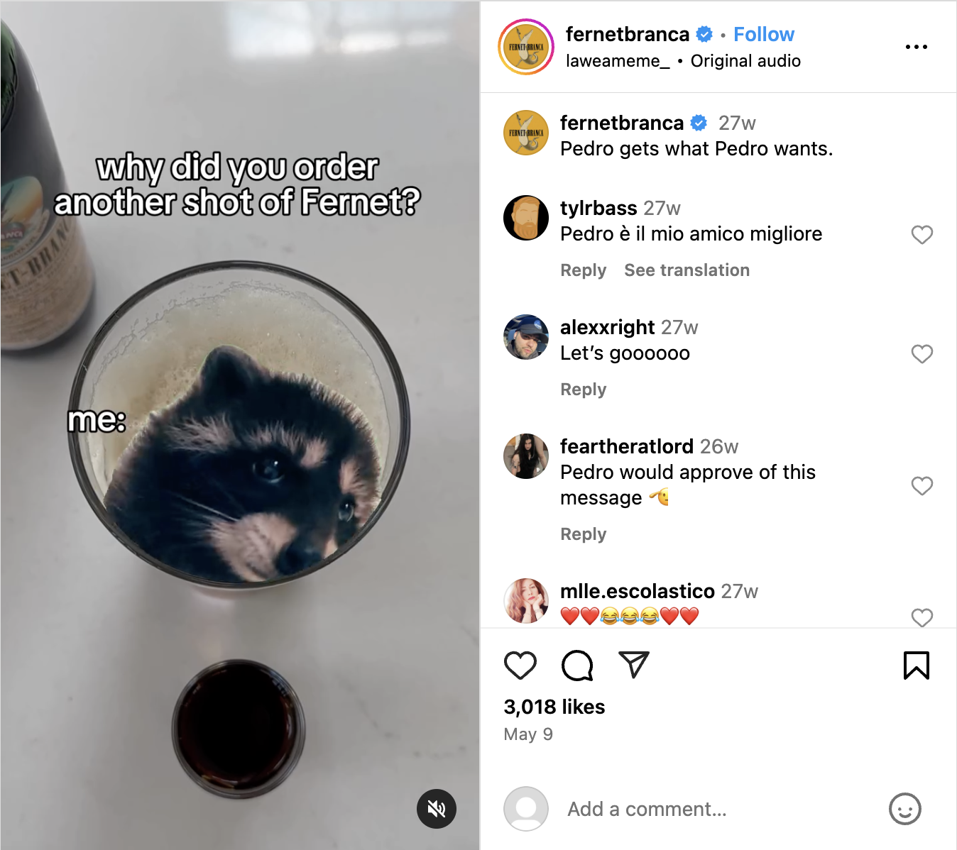 Pedro Trend
