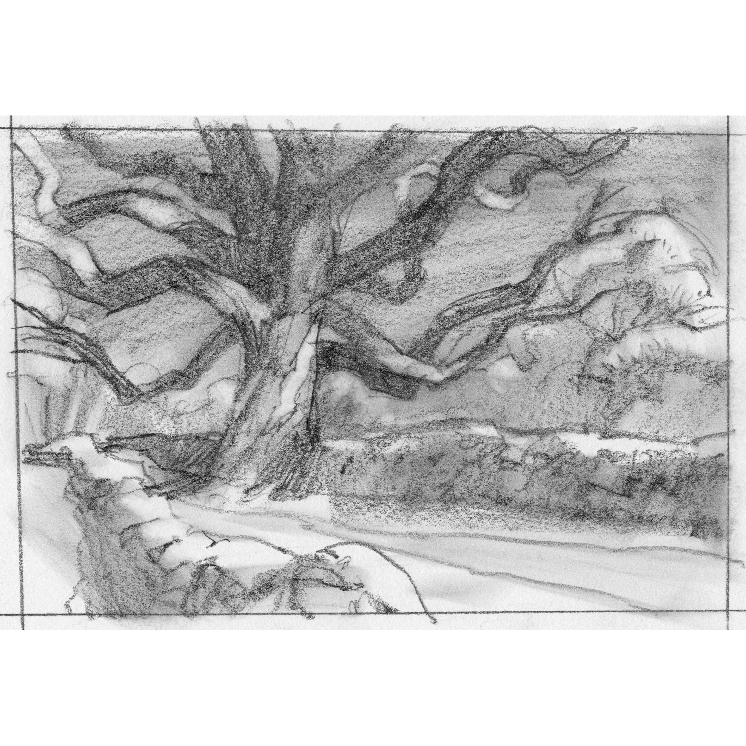 SleepyHollowAndreTree.jpg