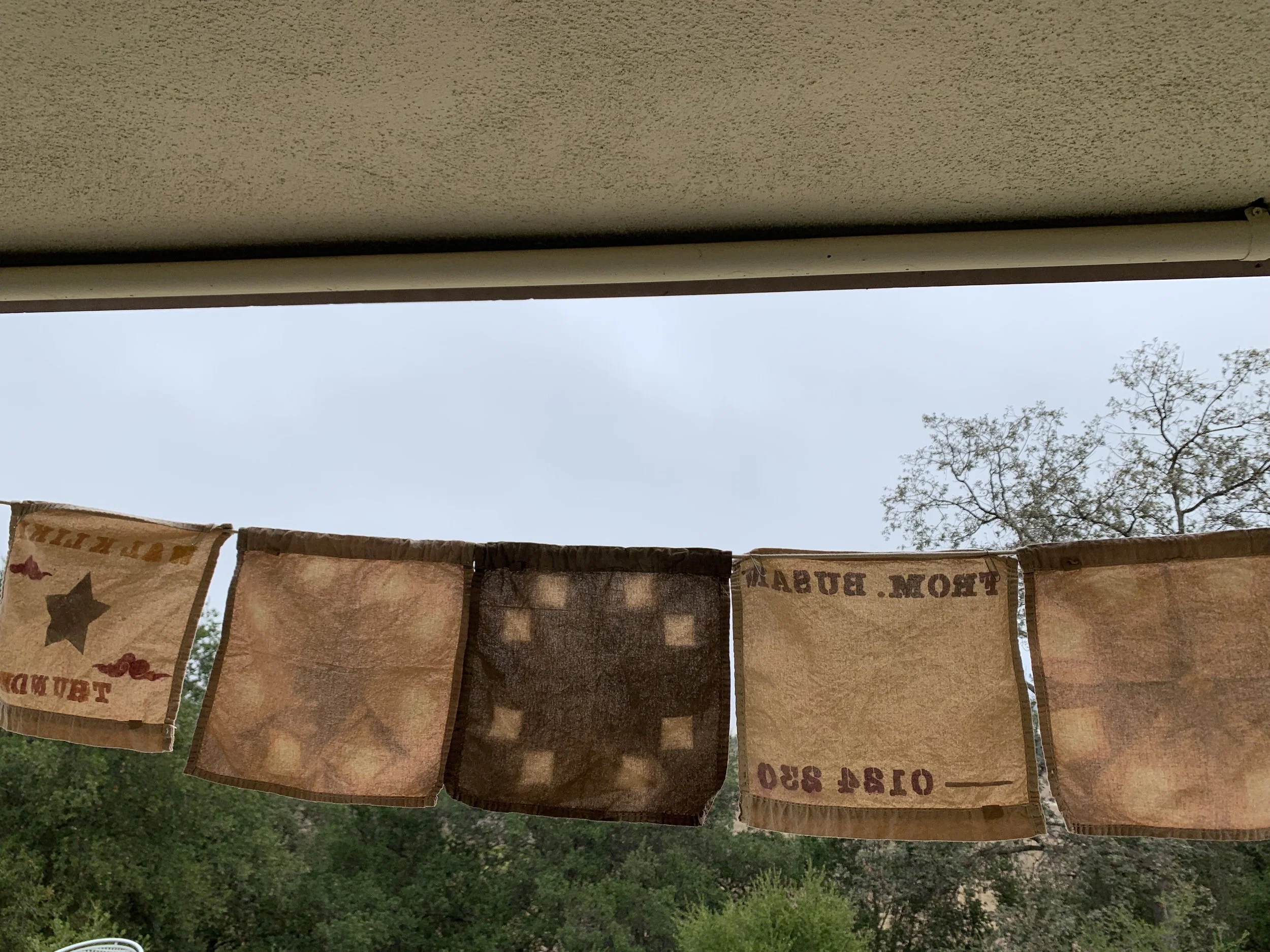 Beatrice Wood Center for the Arts (2024)—Student Dye Workshop using Pomegranate, Cochineal, and Walnut Skins 