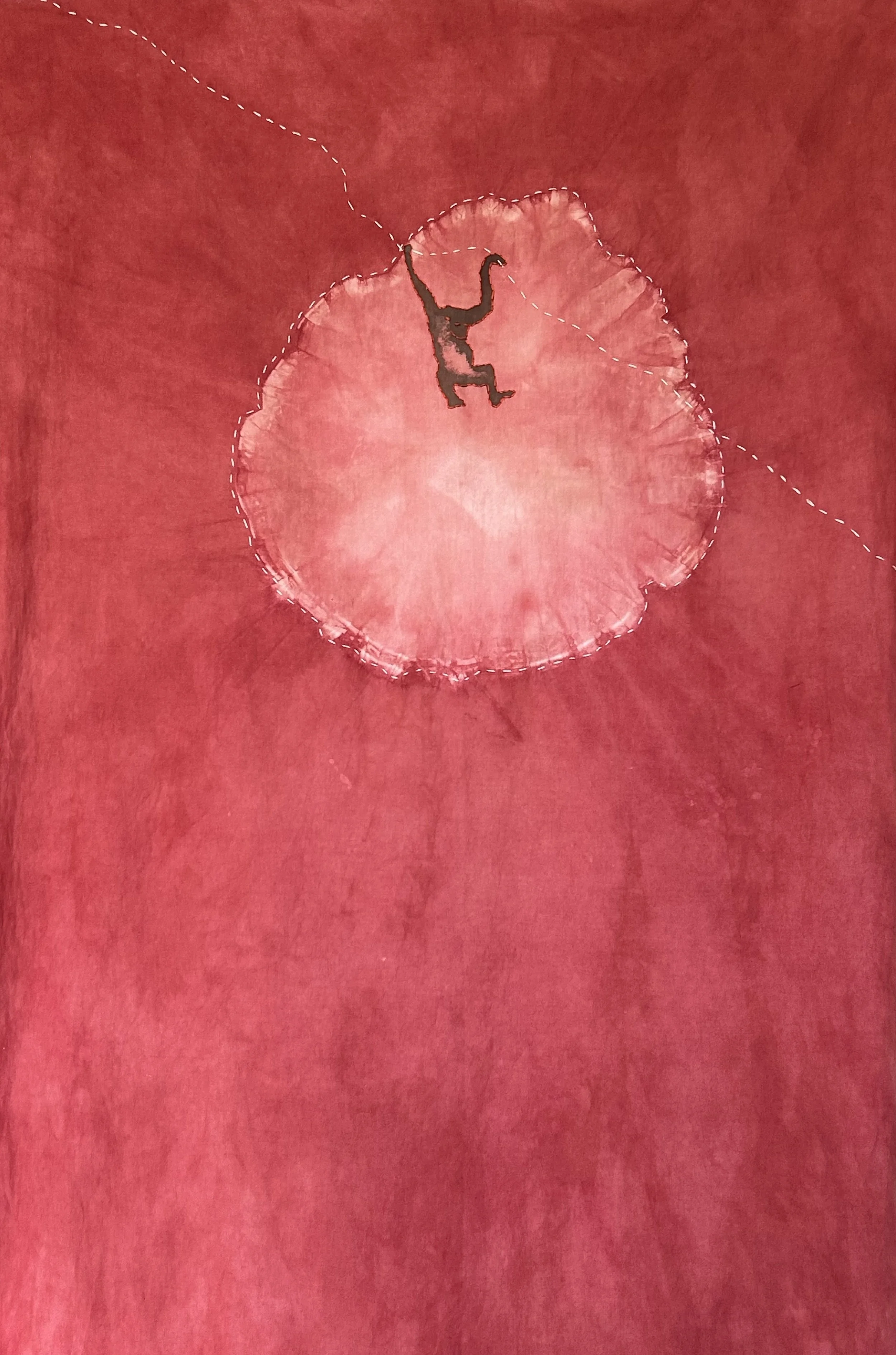 Monkey Brain (2024) — Stitch Shibori, Madder, Cochineal, Iron Mordant Print