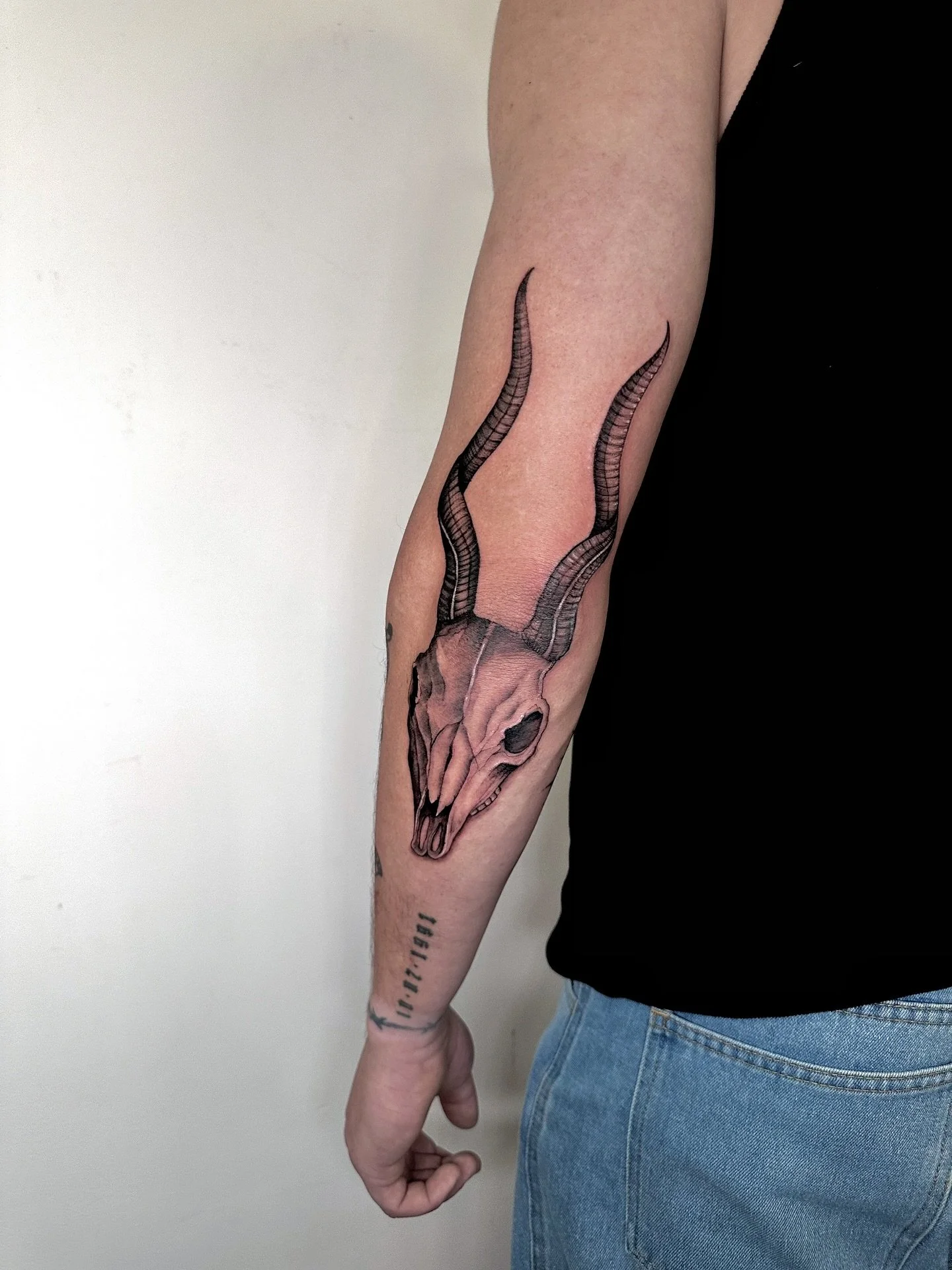 Freehand gazelle skull 🖤
I really enjoyed creating this piece directly on the skin, letting the design flow naturally with the arm. Love how the details in the horns bring movement and balance to the whole tattoo.
#freehandtattoo #gazelletattoo #sk