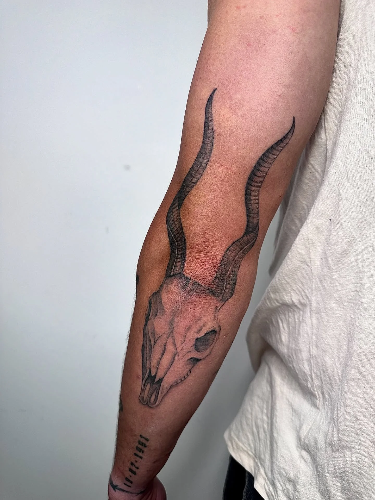 From fresh to healed — the evolution of a tattoo 🖤
The crisp lines soften, the shadows settle, and the design becomes one with the skin.
Still just as strong, just as striking ⚡
,
#HealedTattoo #FreshVsHealed #BlackAndGreyTattoo #FineLineTat