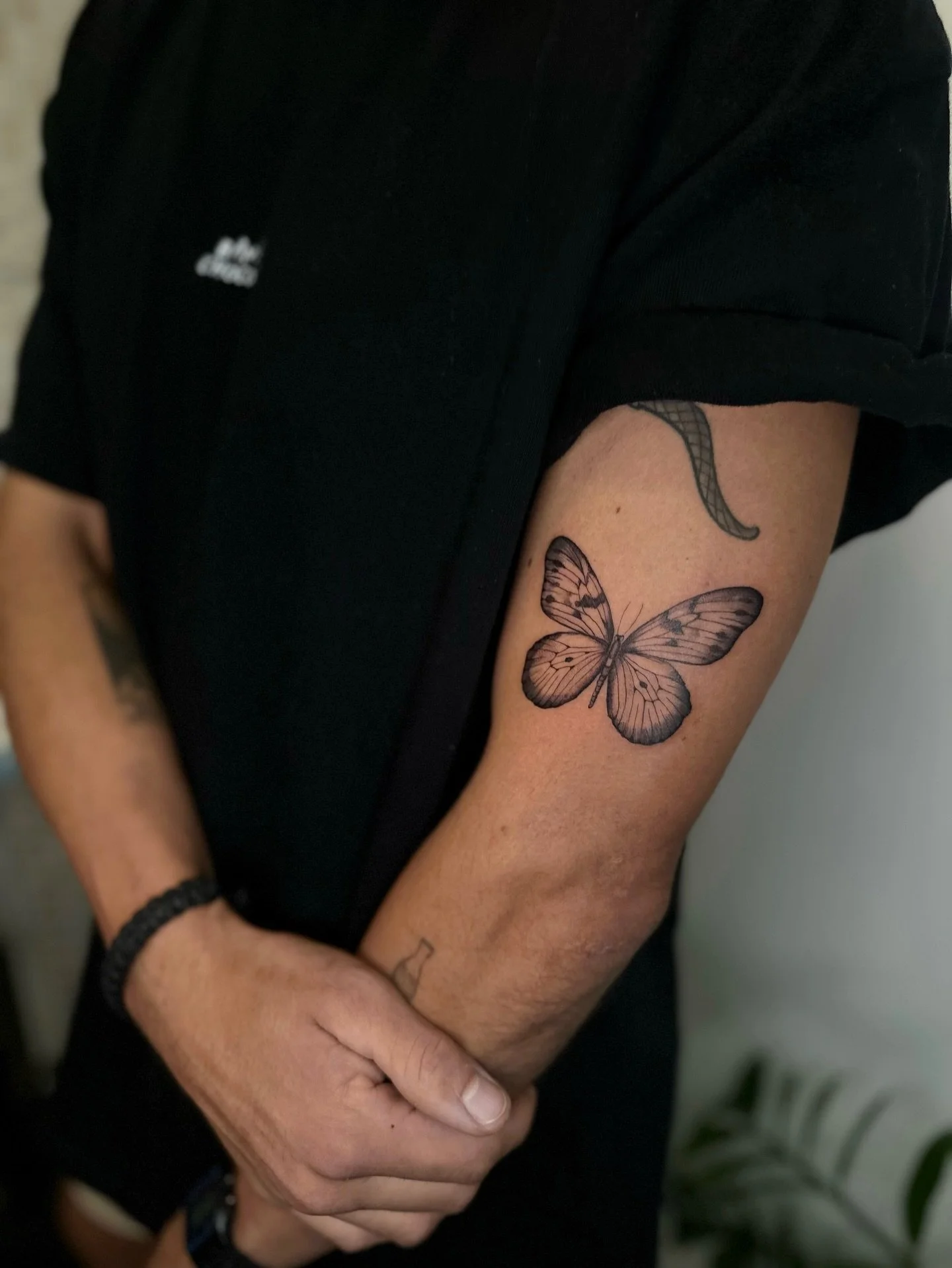 Butterflies remind us that change can be beautiful 🦋.

#butterflytattoo #finelinetattoo #tattooartist #goldcoasttattoo #mariposa