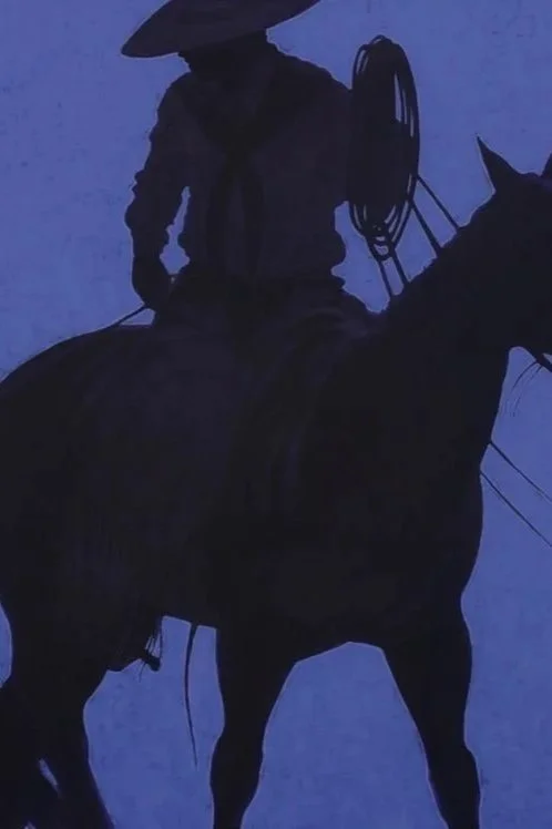 Silhouette of a cowboy riding a horse at twilight with a lasso in hand.