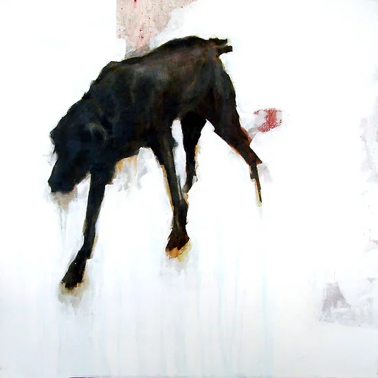 the big black dog