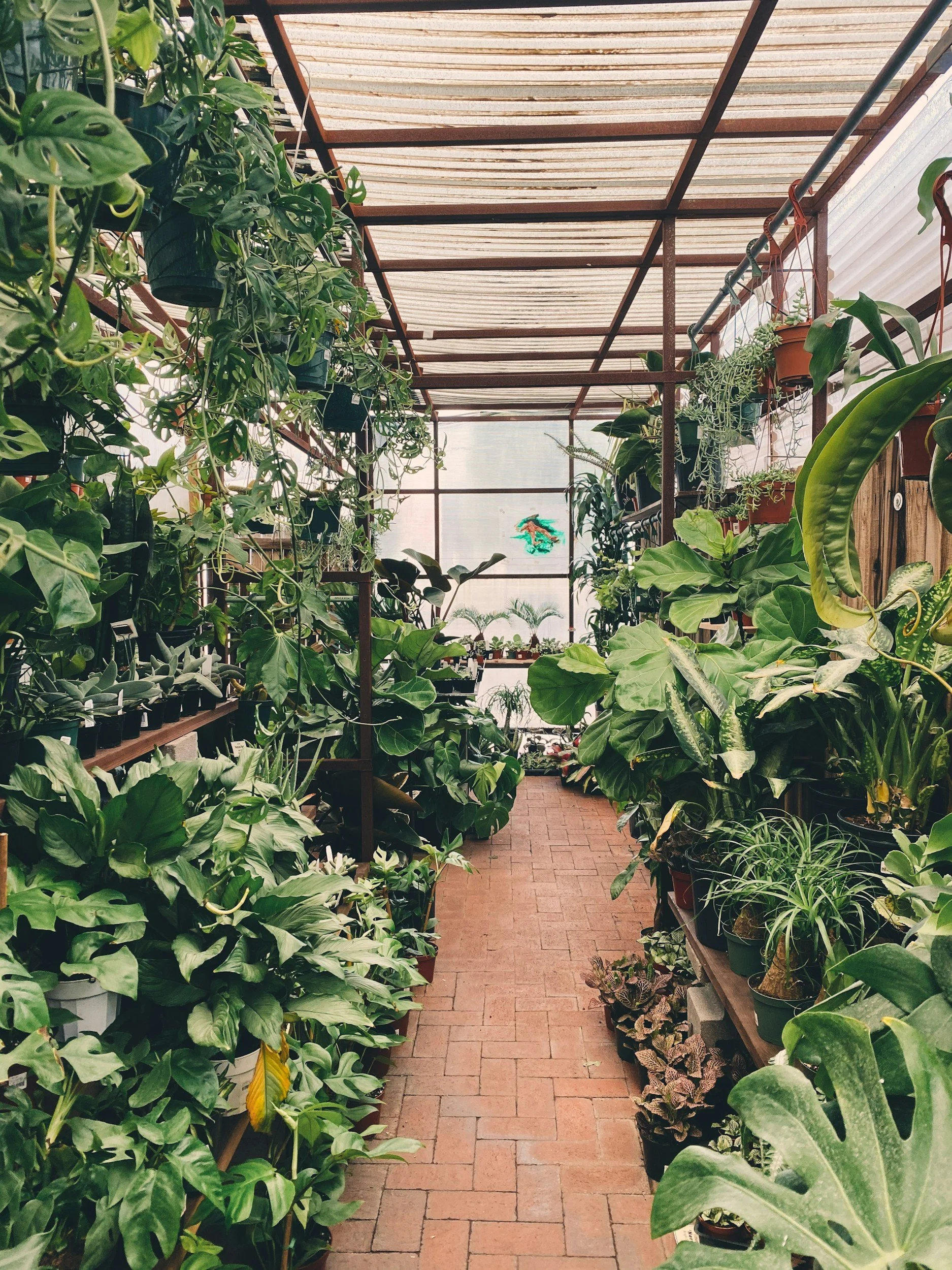 unsplash-image-gRL51XF4NWM.jpg