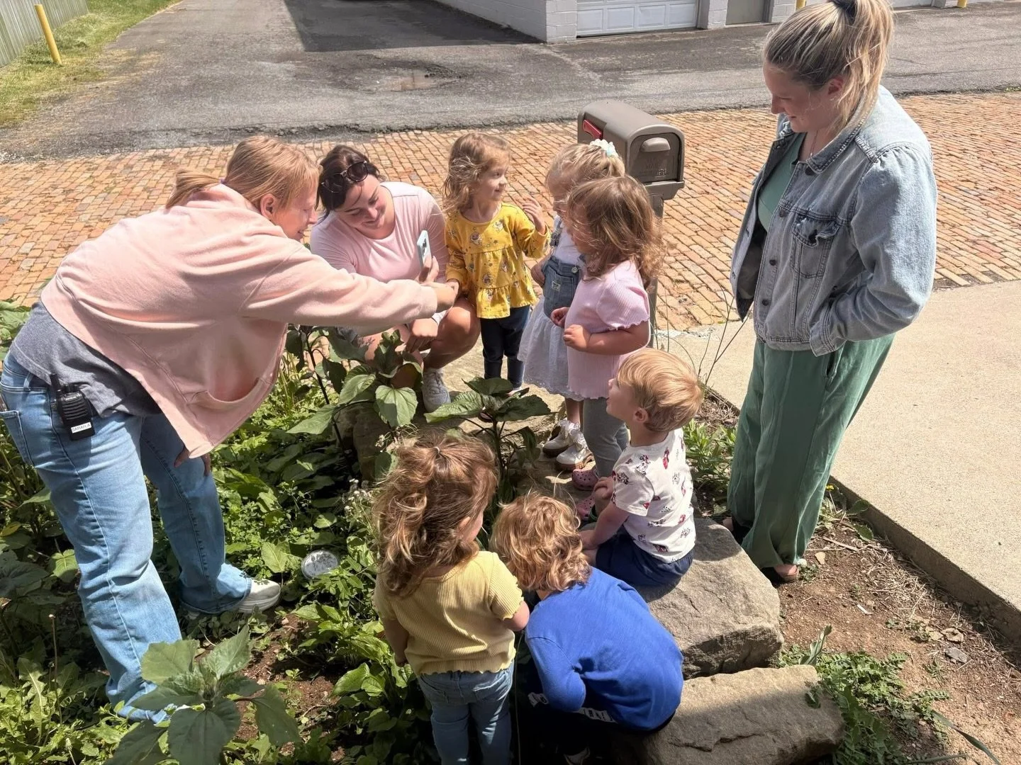 Our toddlers have been busy the past few weeks learning about the&nbsp;life cycle of the&nbsp;praying mantis! Yesterday, they got to release them into nature. 🪲🐛🌱🌳 💚