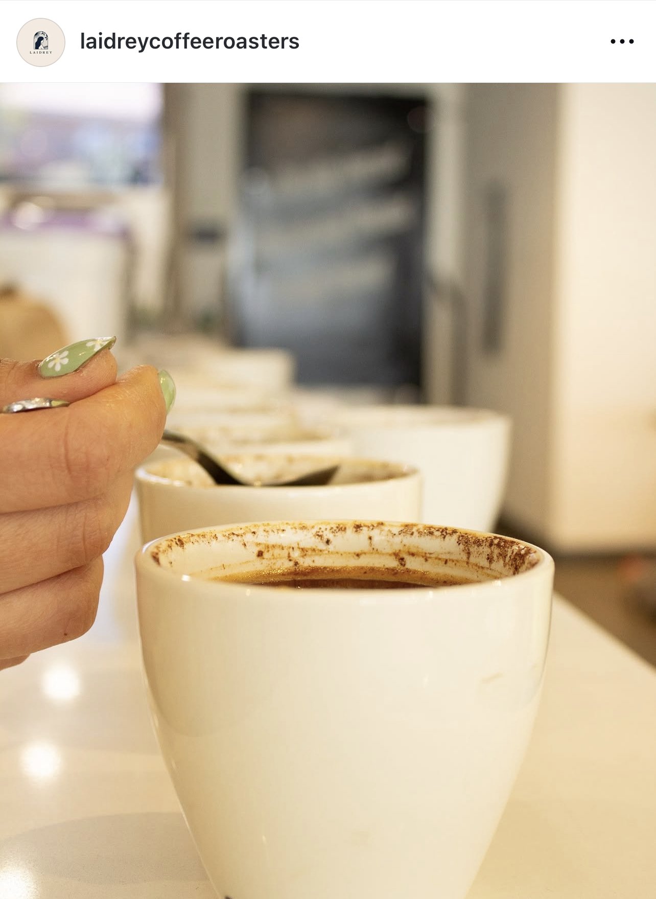 Coffee cupping_Laidrey Coffee Roasters.jpeg